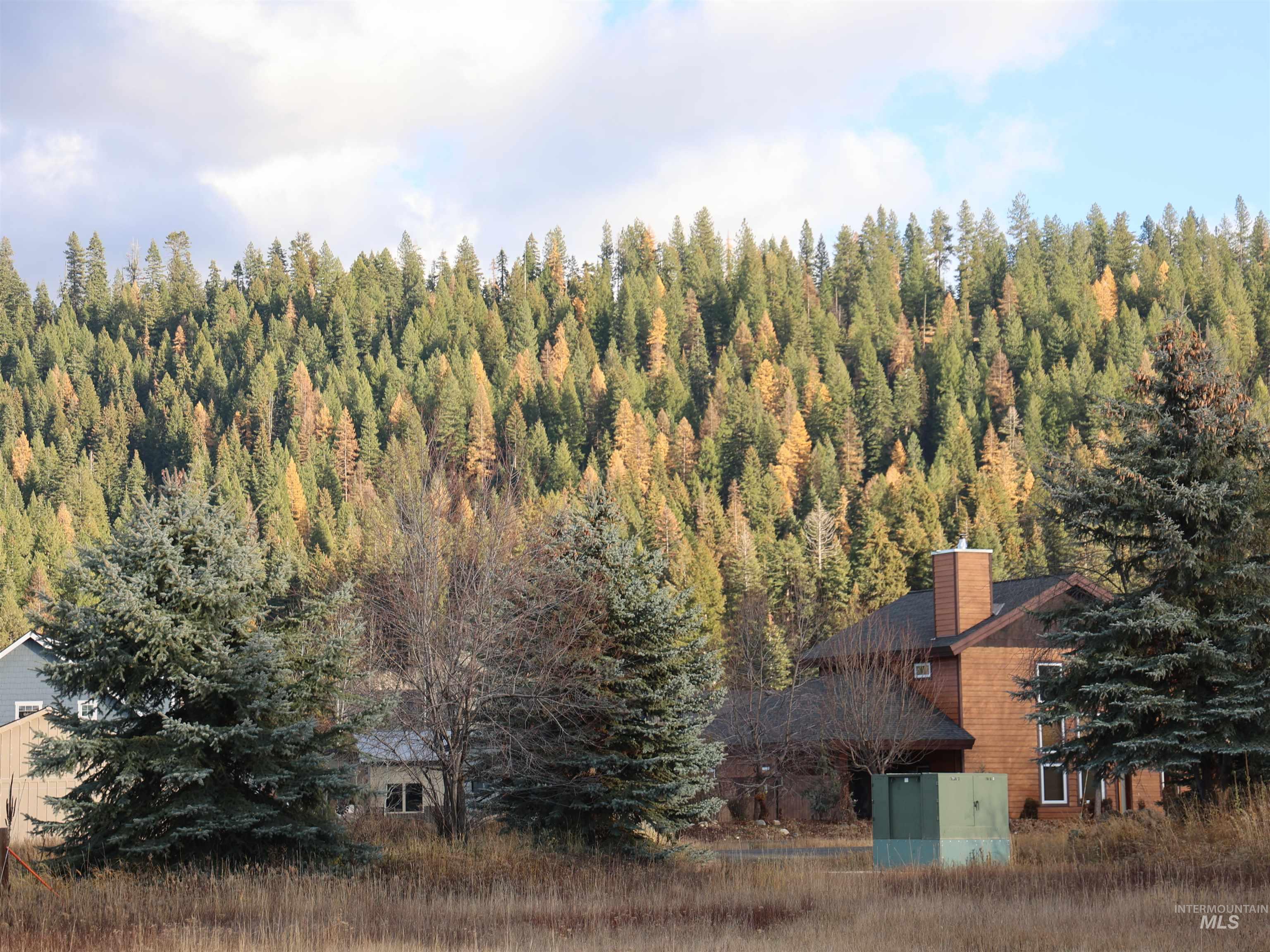 Aerial view of property and surrounding area with a forest