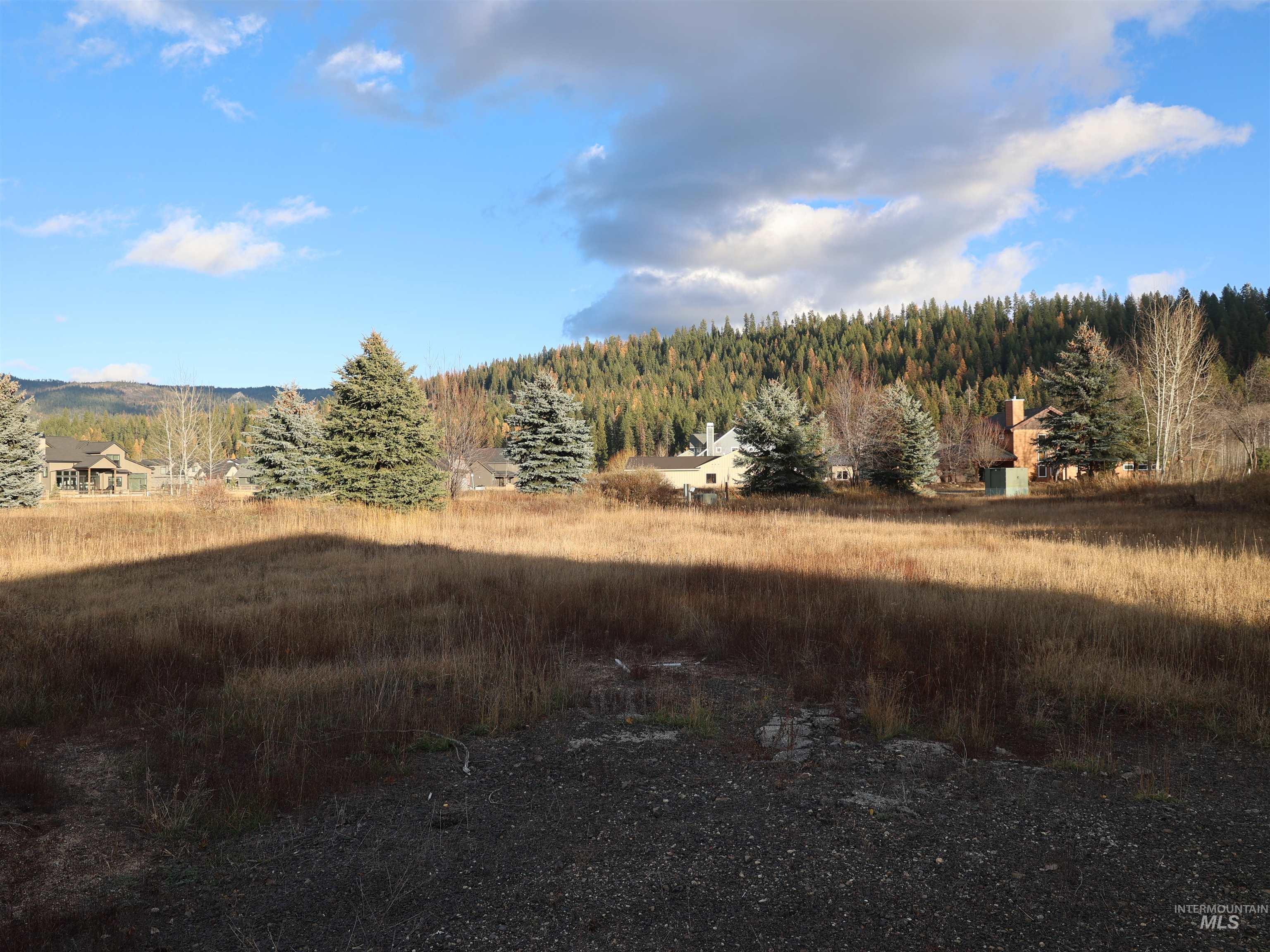 View of mountain background with a forest