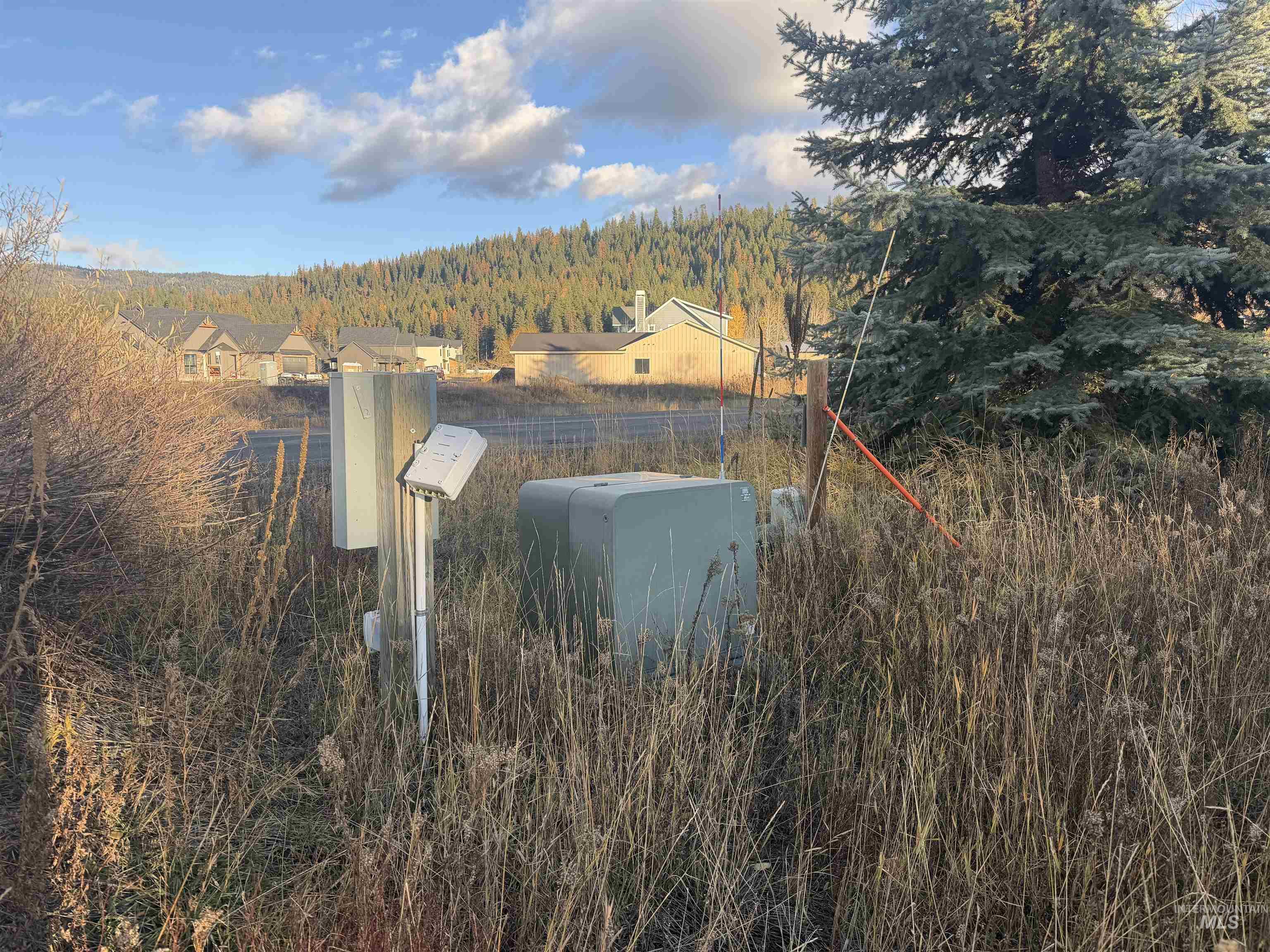 Exterior view of a forest and a pad mount transformer