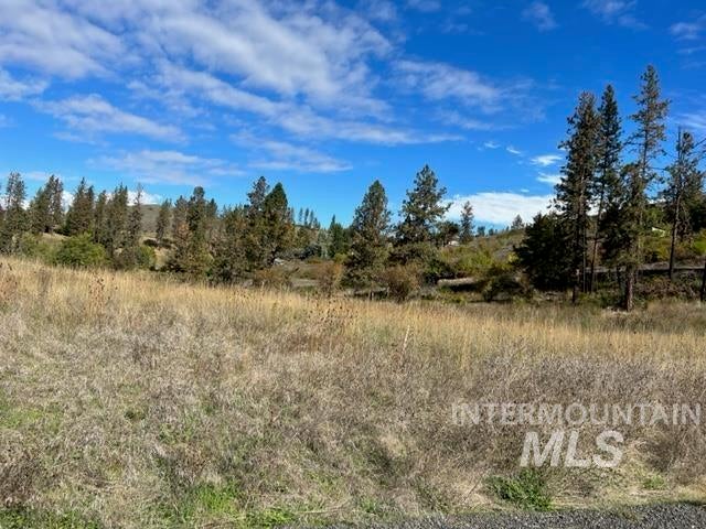 Photo of 1 Elk Hill Road, Kamiah, ID 83536 (MLS # 99003385)
