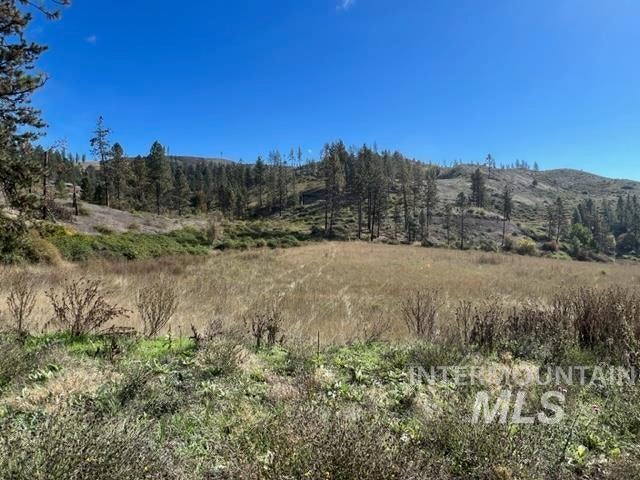 Photo of 1 Elk Hill Road, Kamiah, ID 83536 (MLS # 99003385)