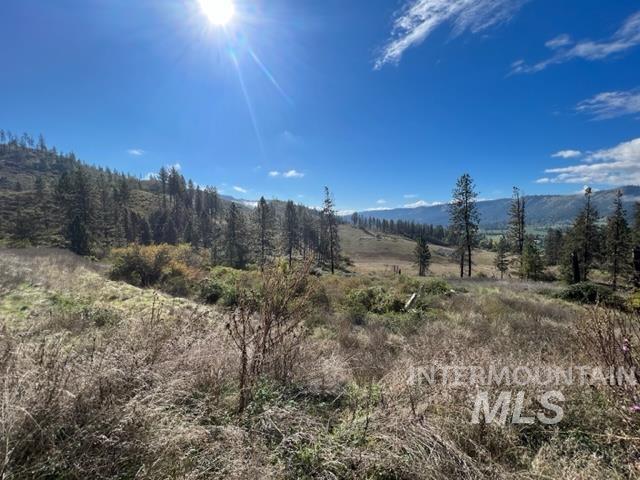 Photo of 1 Elk Hill Road, Kamiah, ID 83536 (MLS # 99003385)