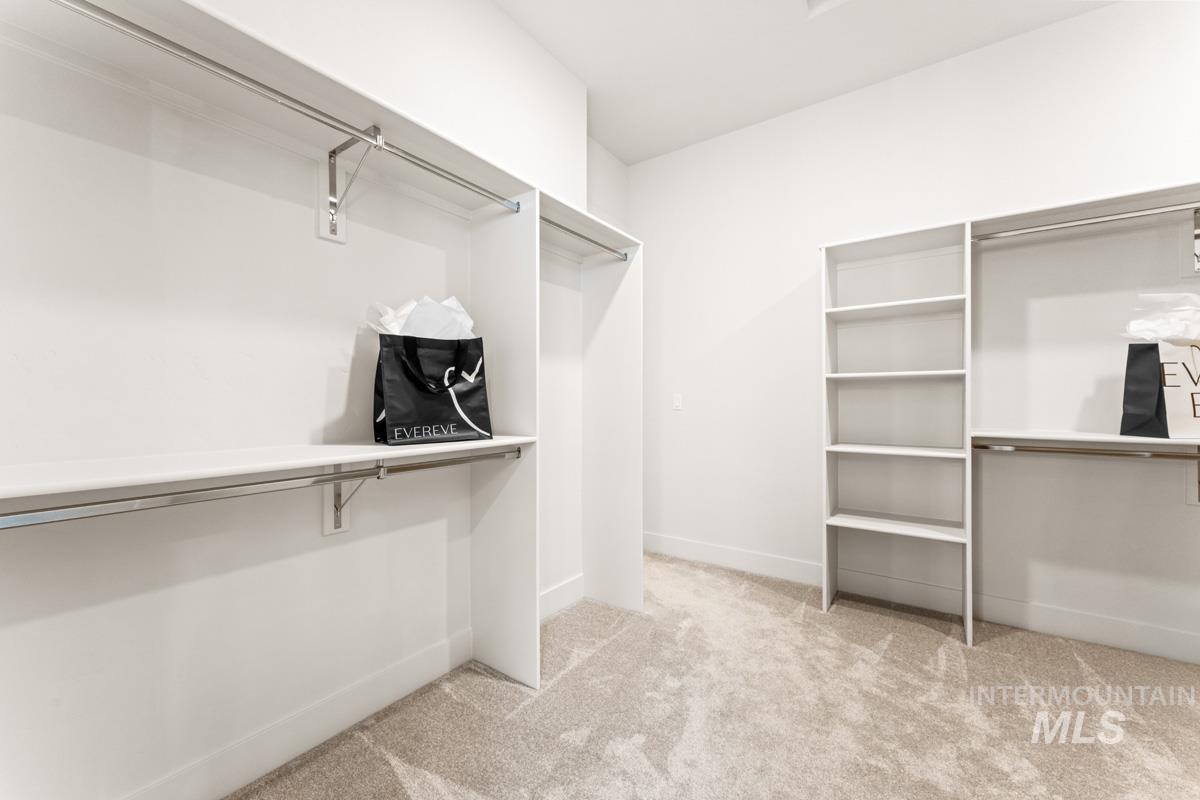 Spacious walk-in closet featuring light-toned carpeting, white shelving units, and chrome hanging rods
