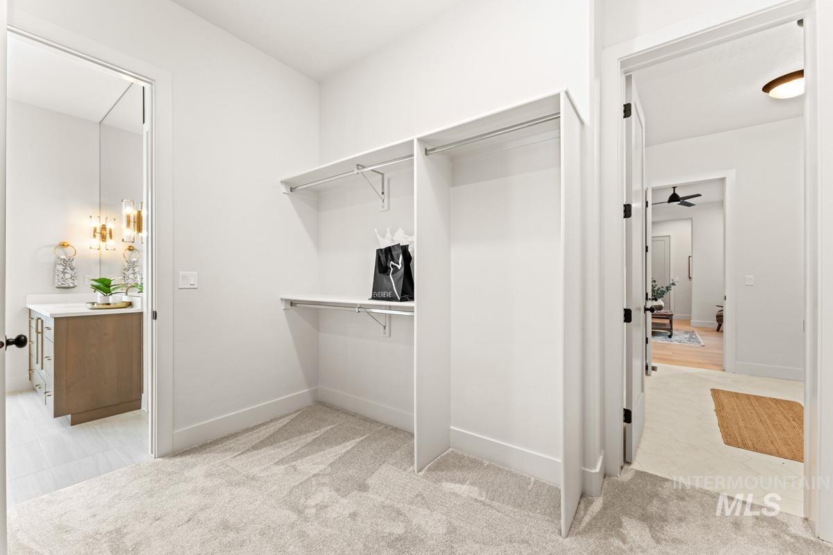 Walk-in closet featuring carpet flooring, built-in shelving, and hanging rods