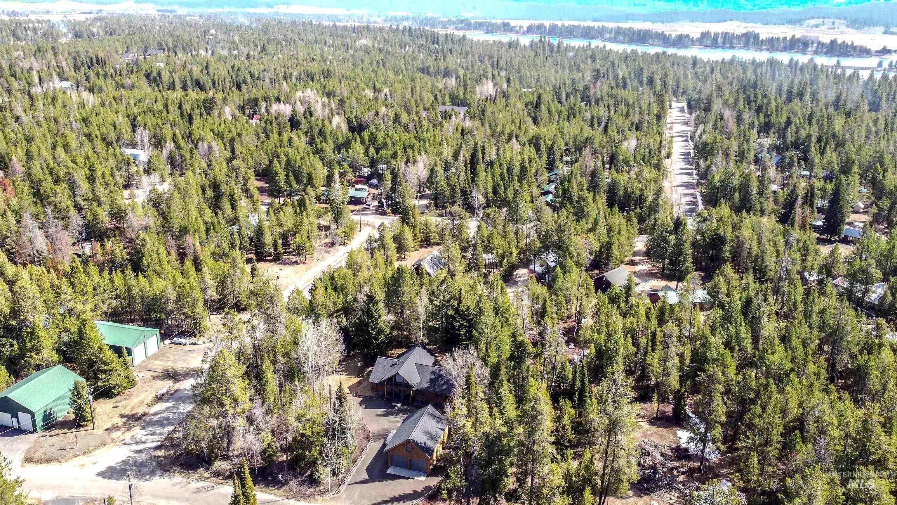 Drone / aerial view of a forest