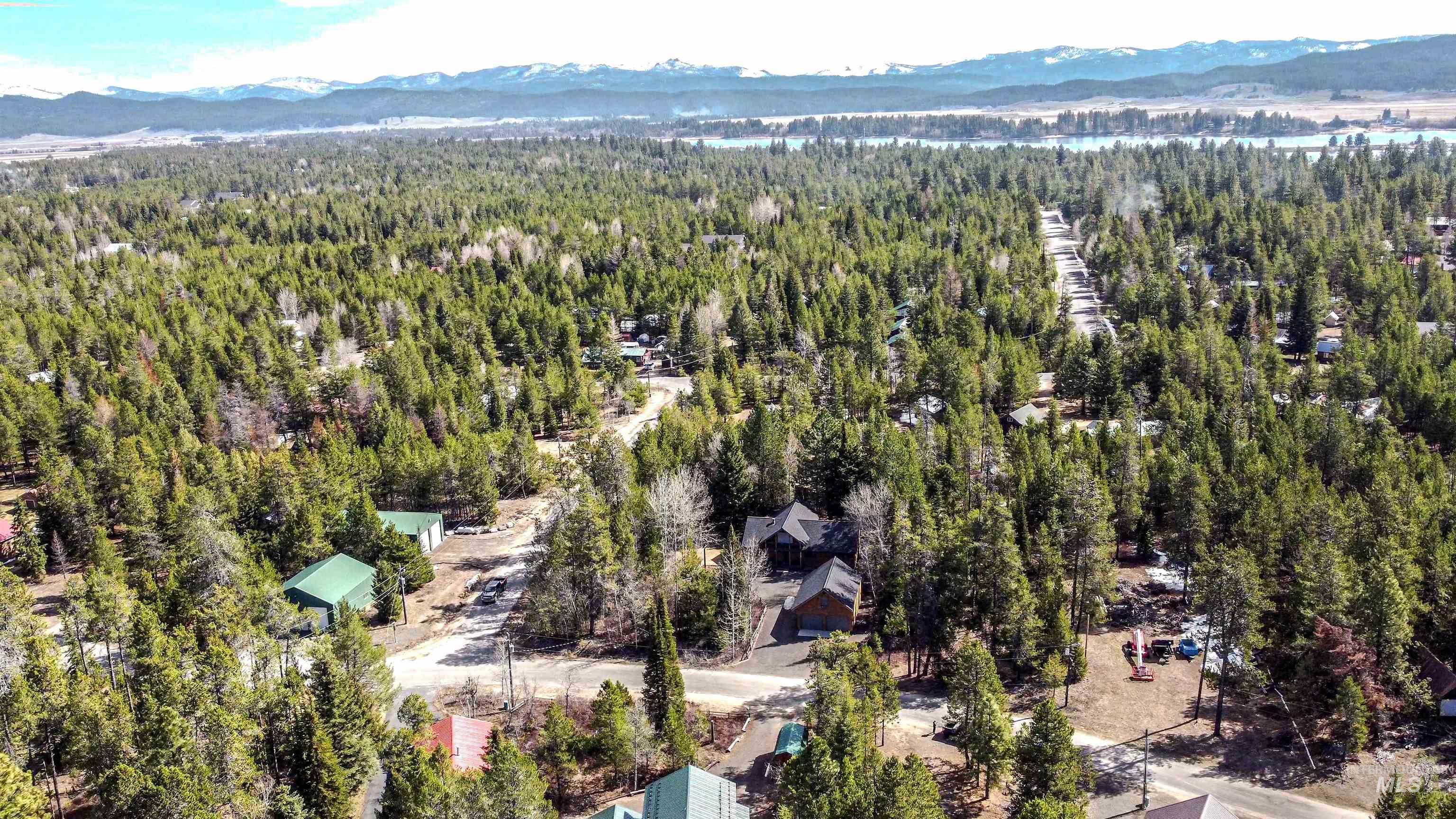 Drone / aerial view of a mountainous background and a heavily wooded area