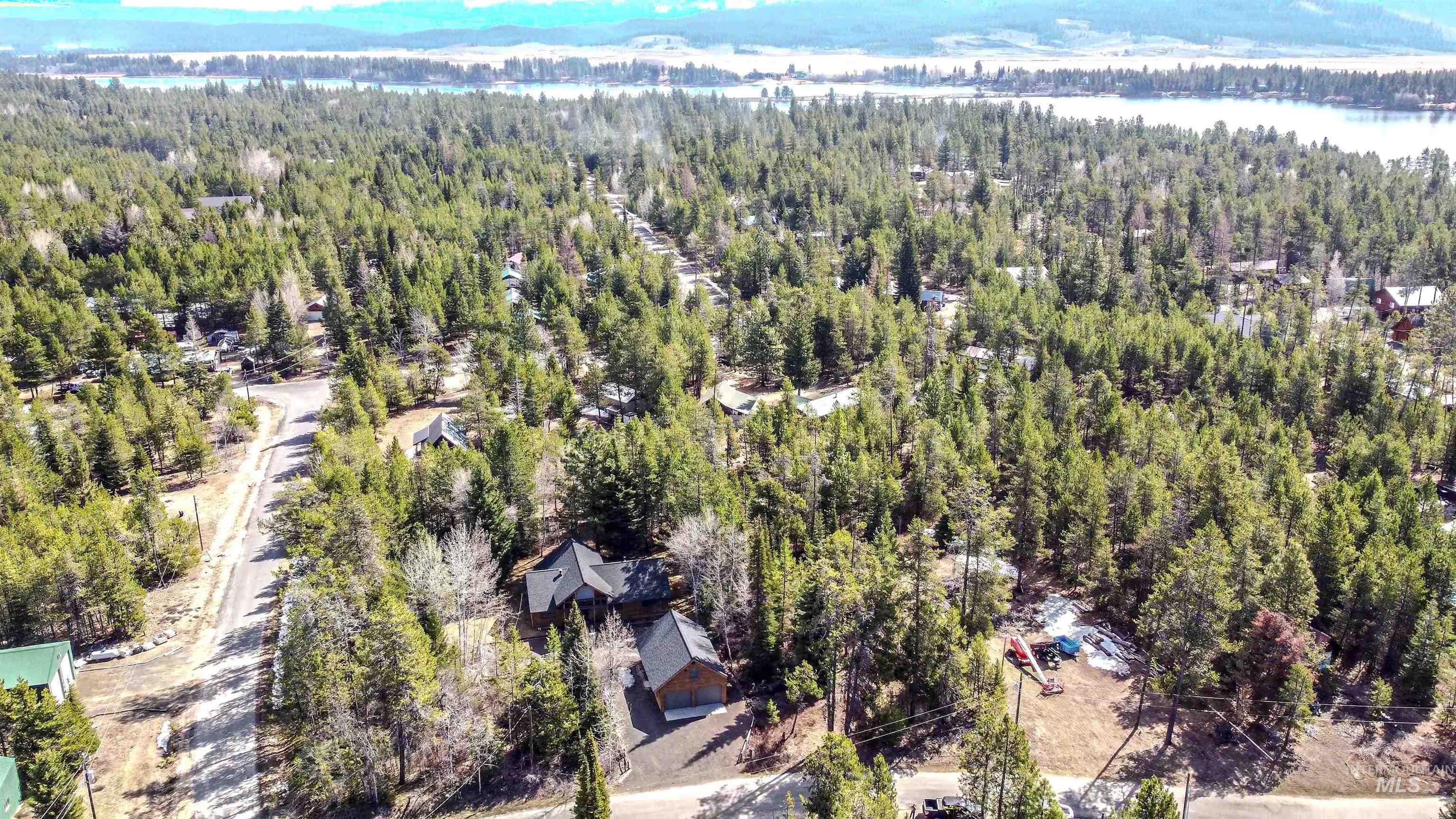 Bird's eye view of a forest and a mountainous background