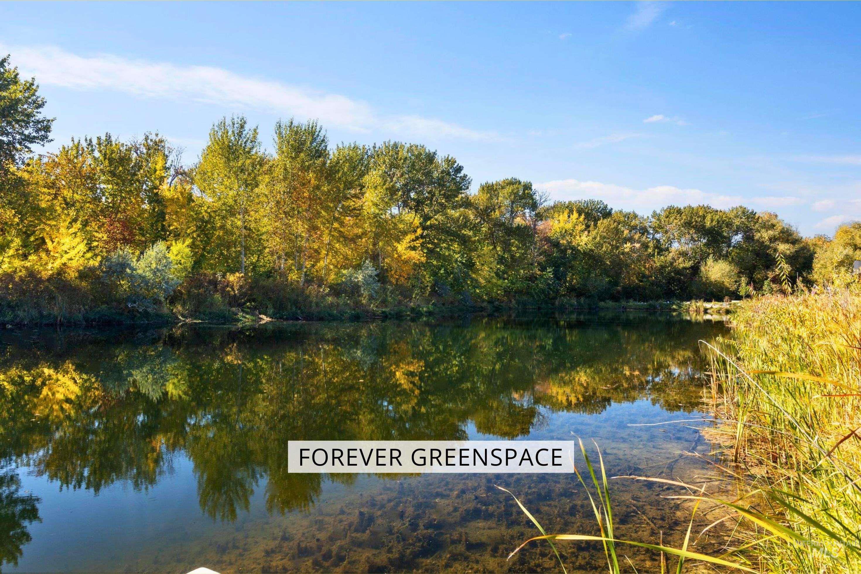 Water view with a heavily wooded area