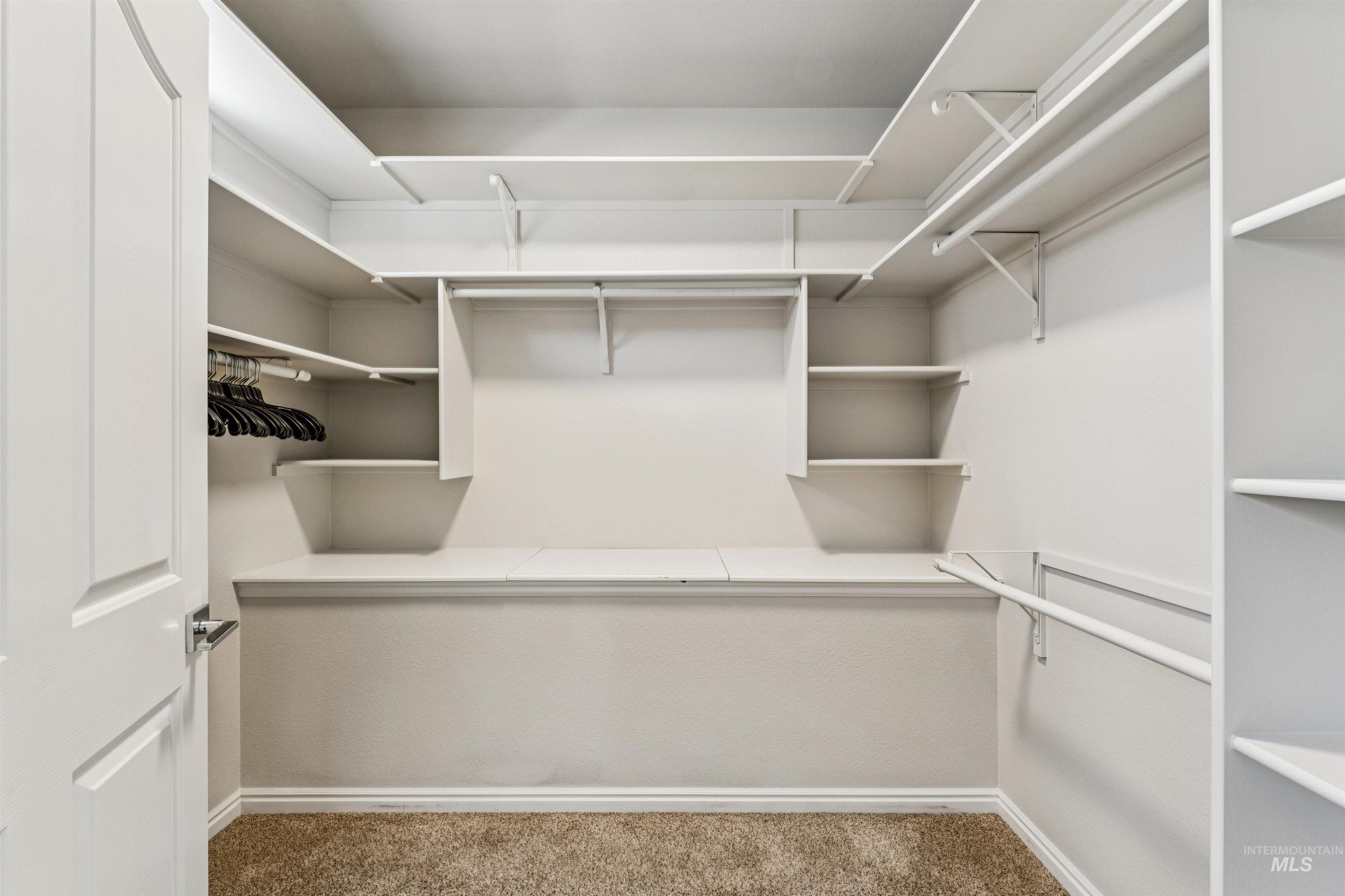 Walk in closet featuring carpet floors