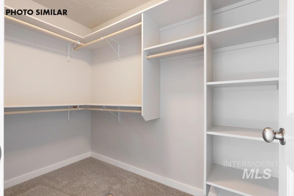 Spacious closet featuring carpet floors
