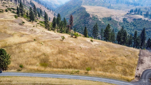 LARRADON DR, KAMIAH, ID 83536 - Image d6ed2ff7d4d2aabc2f0bed6cfadc32b9/3450693685