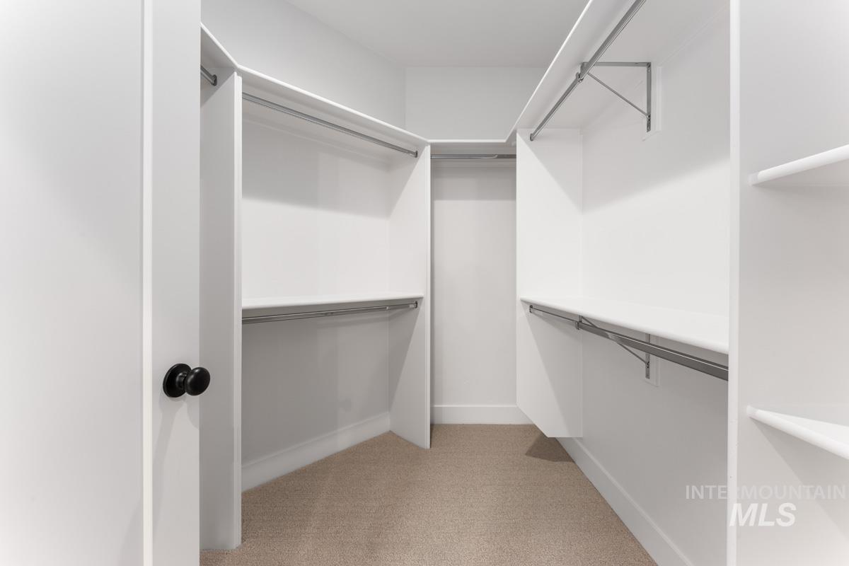 Walk-in closet featuring white built-in shelving, chrome hanging rods, and light beige carpet flooring