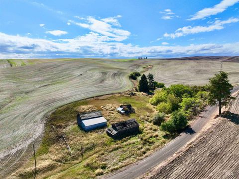 Photo of TBD Central Ridge Rd & Younger Rd, Craigmont, ID 83523 (MLS # 98982209)