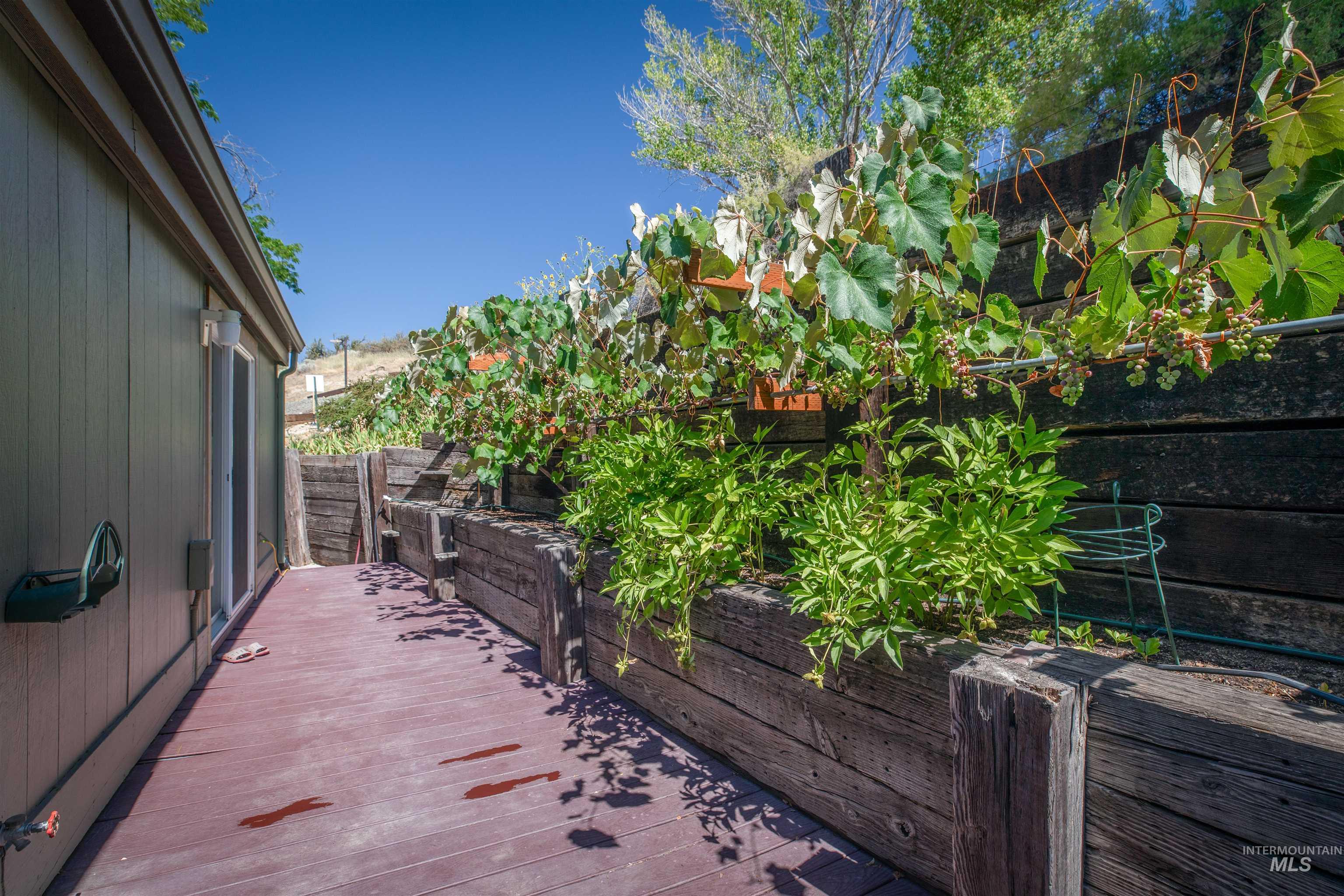 Wooden deck with a fenced backyard