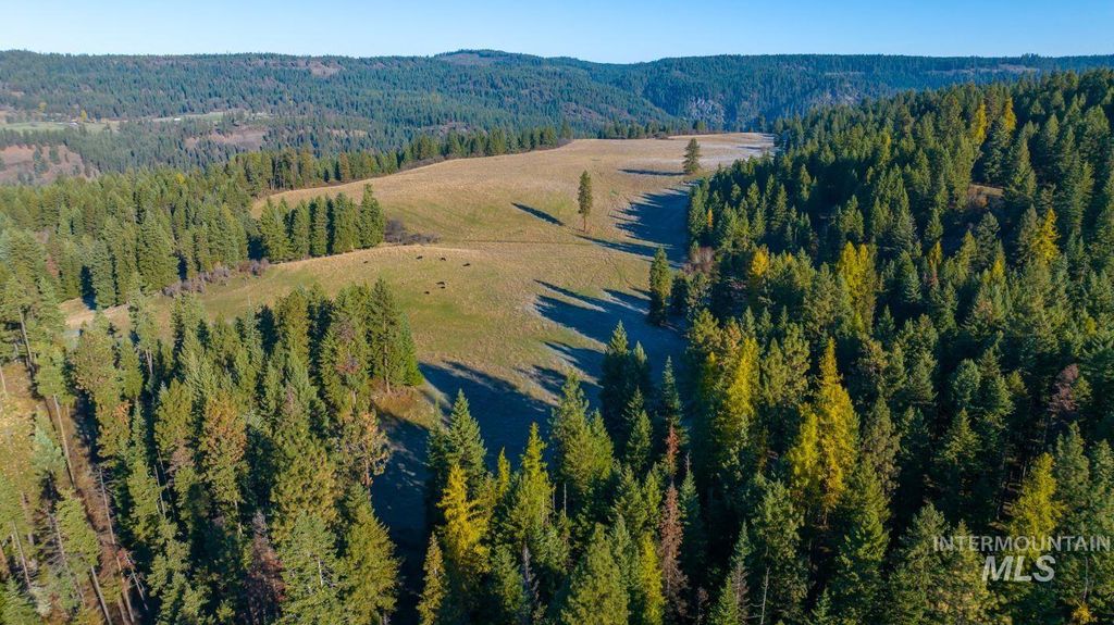 Photo of 320 Summer Rd, Orofino, ID 83544 (MLS # 98893920)