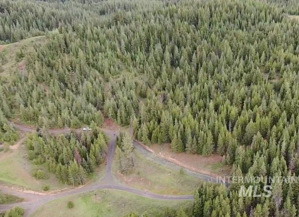 Photo of 0 Fox Meadow Dr, Orofino, ID 83544 (MLS # 98947600)