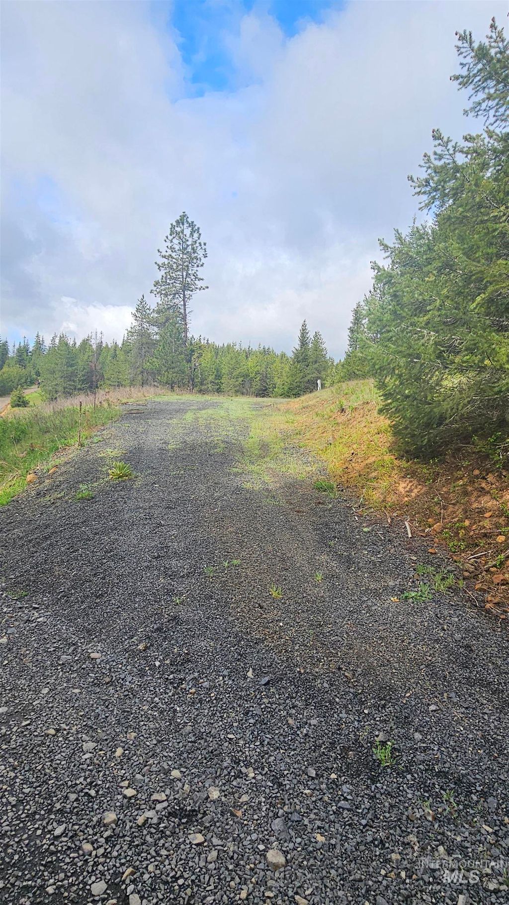 Photo of 0 Fox Meadow Dr, Orofino, ID 83544 (MLS # 98947600)