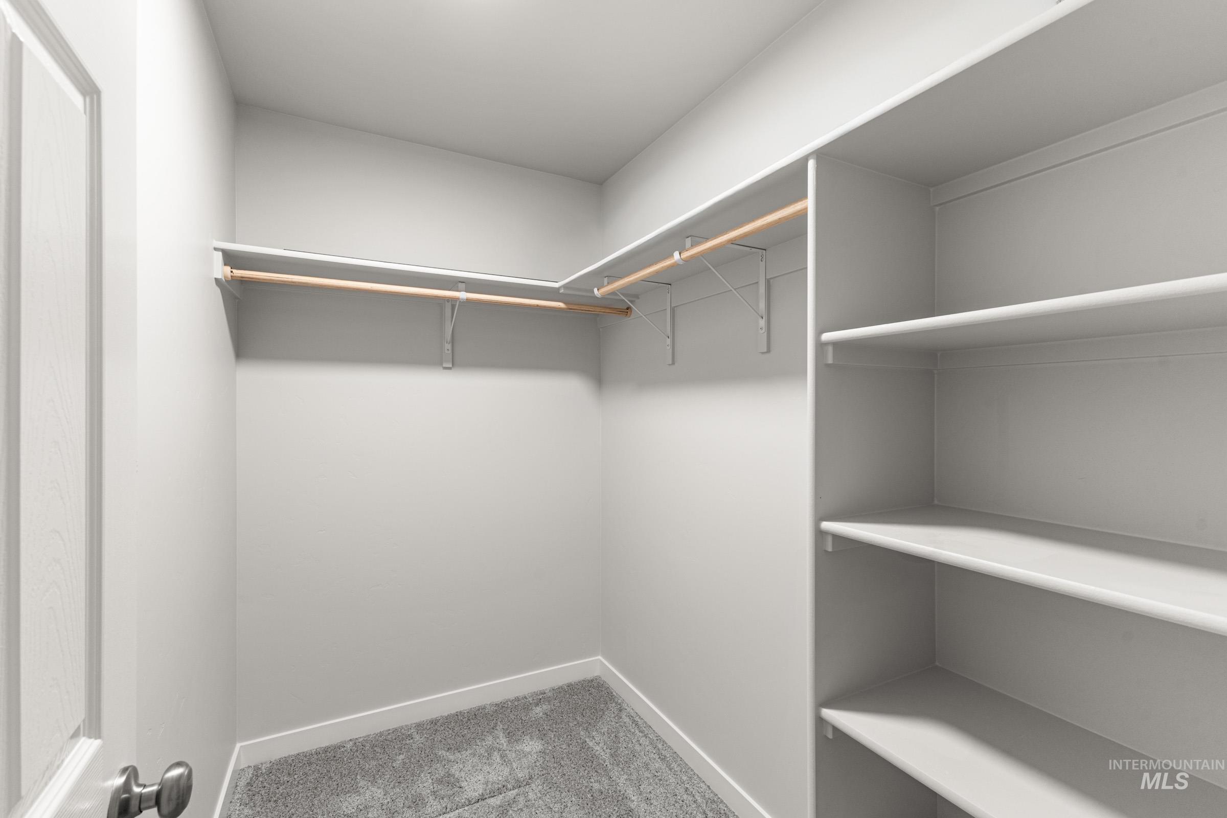 Walk-in closet featuring built-in shelving, two hanging rods, and grey carpeting
