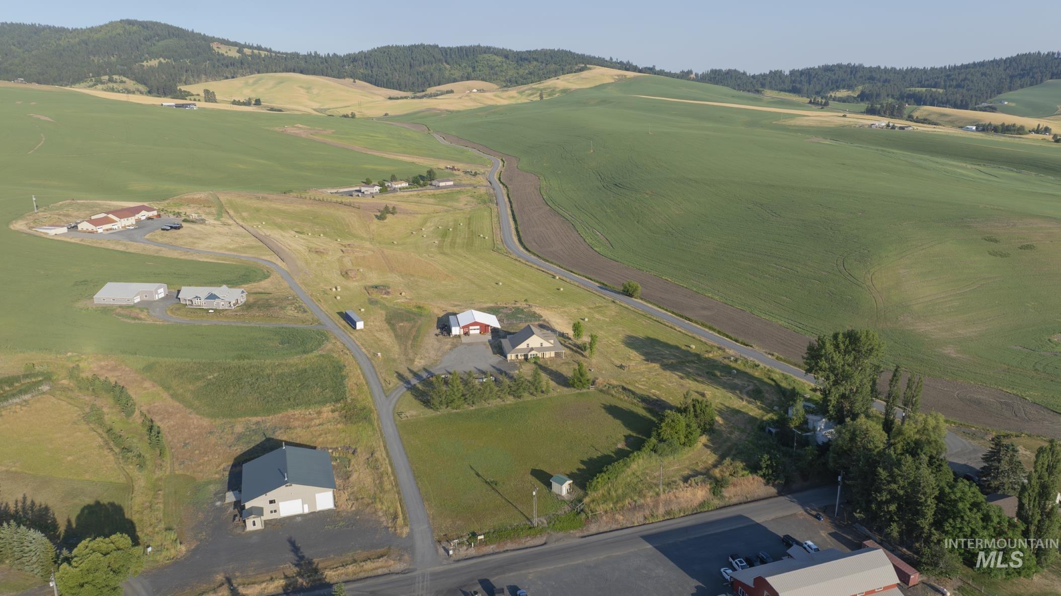 000 Viola Ln (Lot 3)