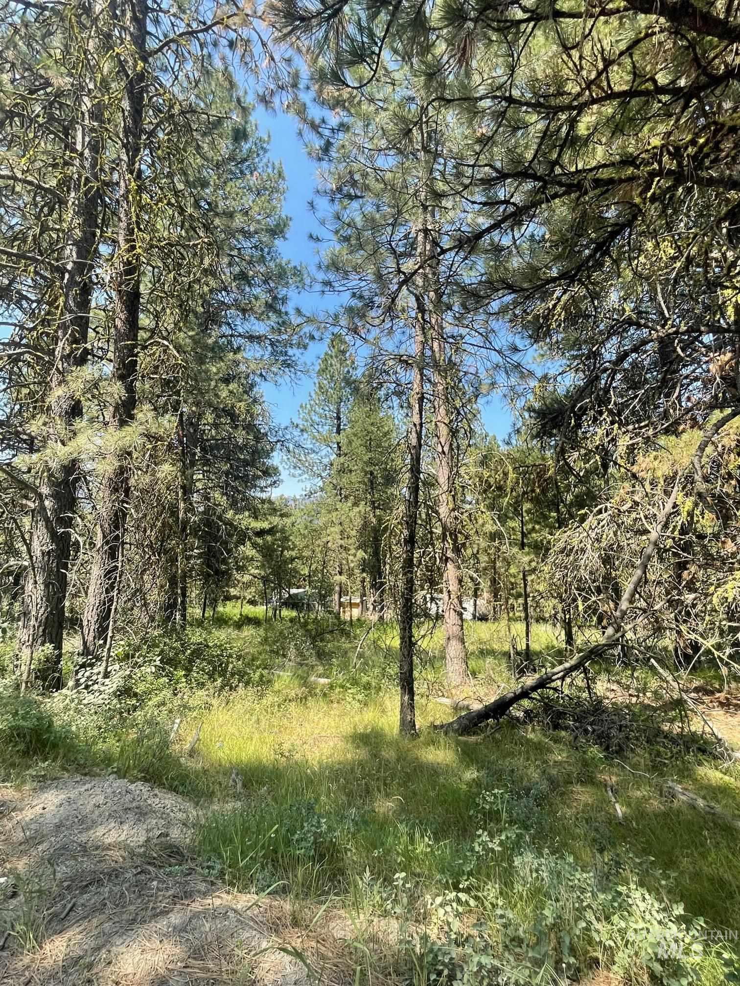 1307 Crown Point Parkway