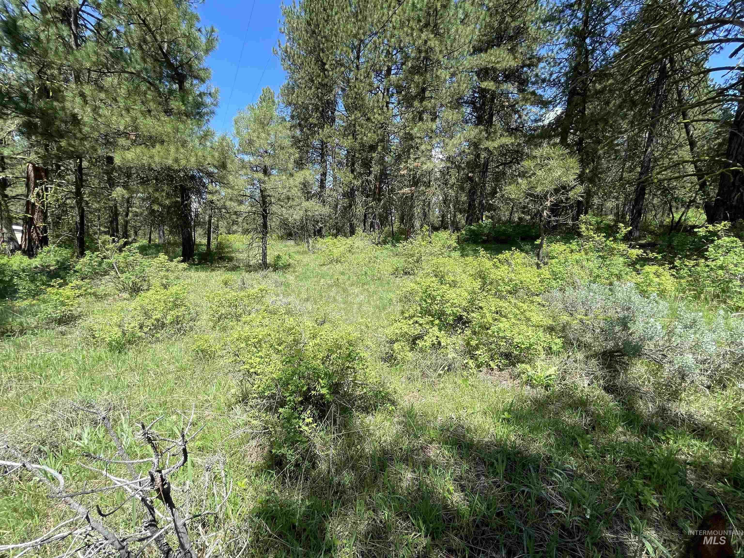 1307 Crown Point Parkway