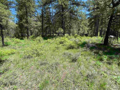 Photo of 1307 Crown Point Parkway, Cascade, ID 83611 (MLS # 98965447)