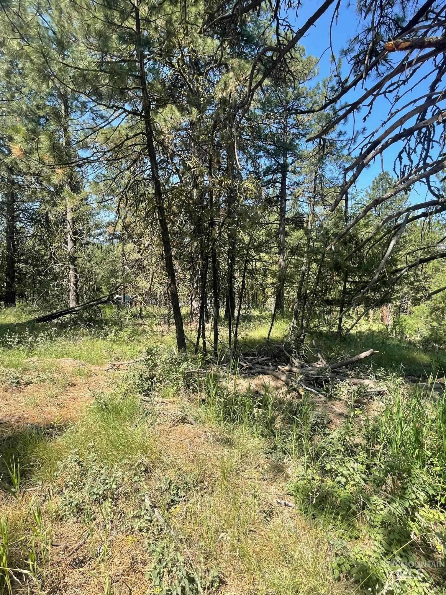 1307 Crown Point Parkway