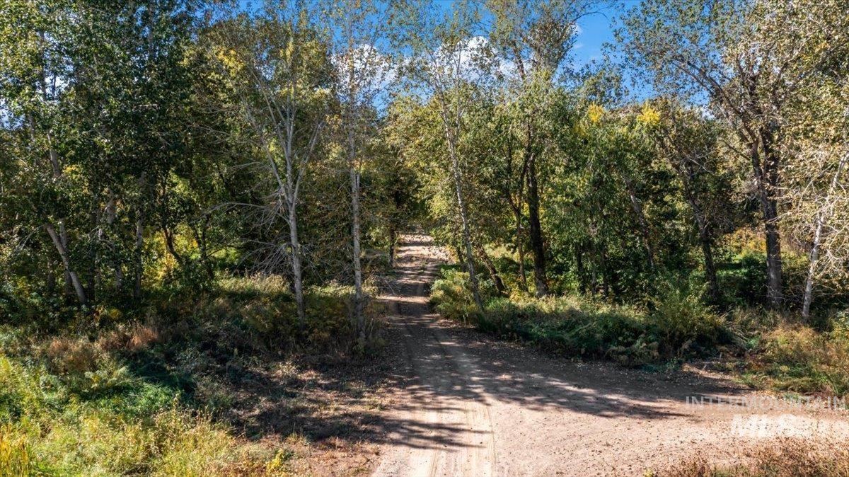View of dirt / gravel road with a wooded view