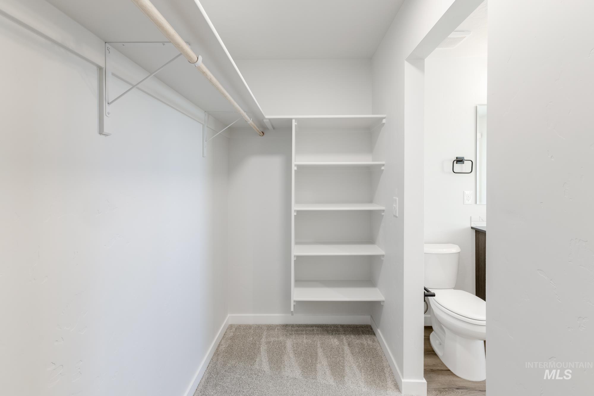 Walk in closet with light carpet