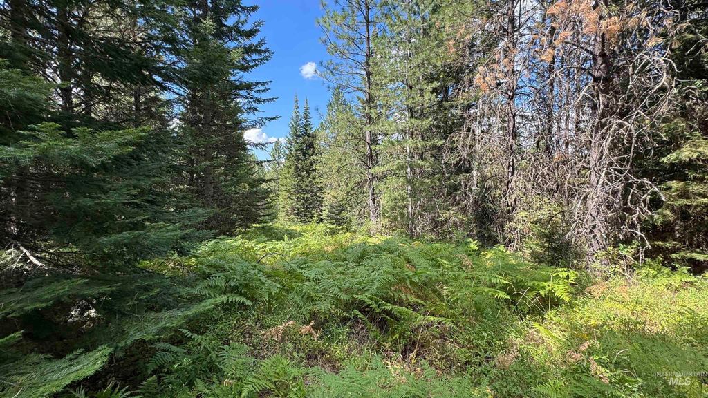 Photo of 19 Band Mill Loop Rd, Orofino, ID 83544 (MLS # 98932161)