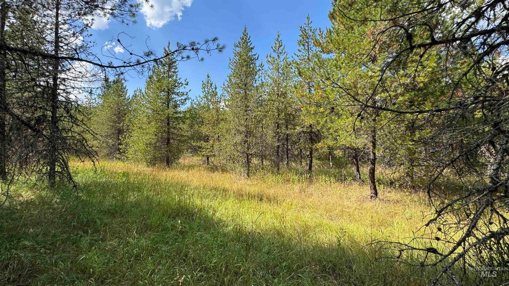 Photo of 19 Band Mill Loop Rd, Orofino, ID 83544 (MLS # 98932161)
