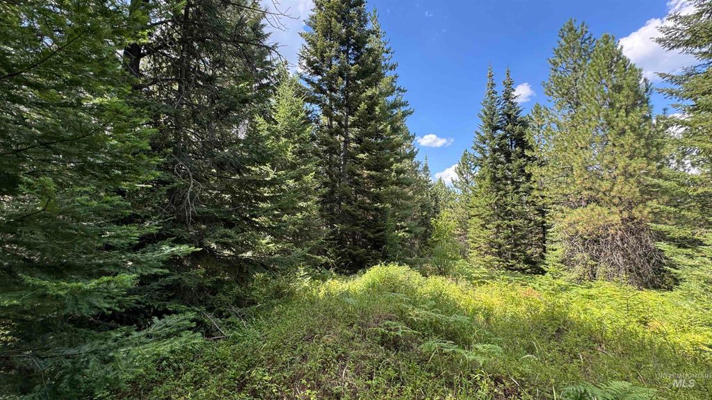Photo of 19 Band Mill Loop Rd, Orofino, ID 83544 (MLS # 98932161)