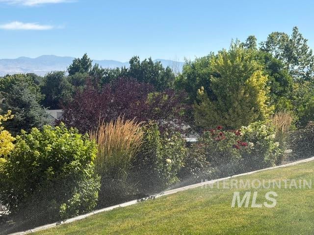 Lush, tiered landscaping with mature trees and diverse foliage
