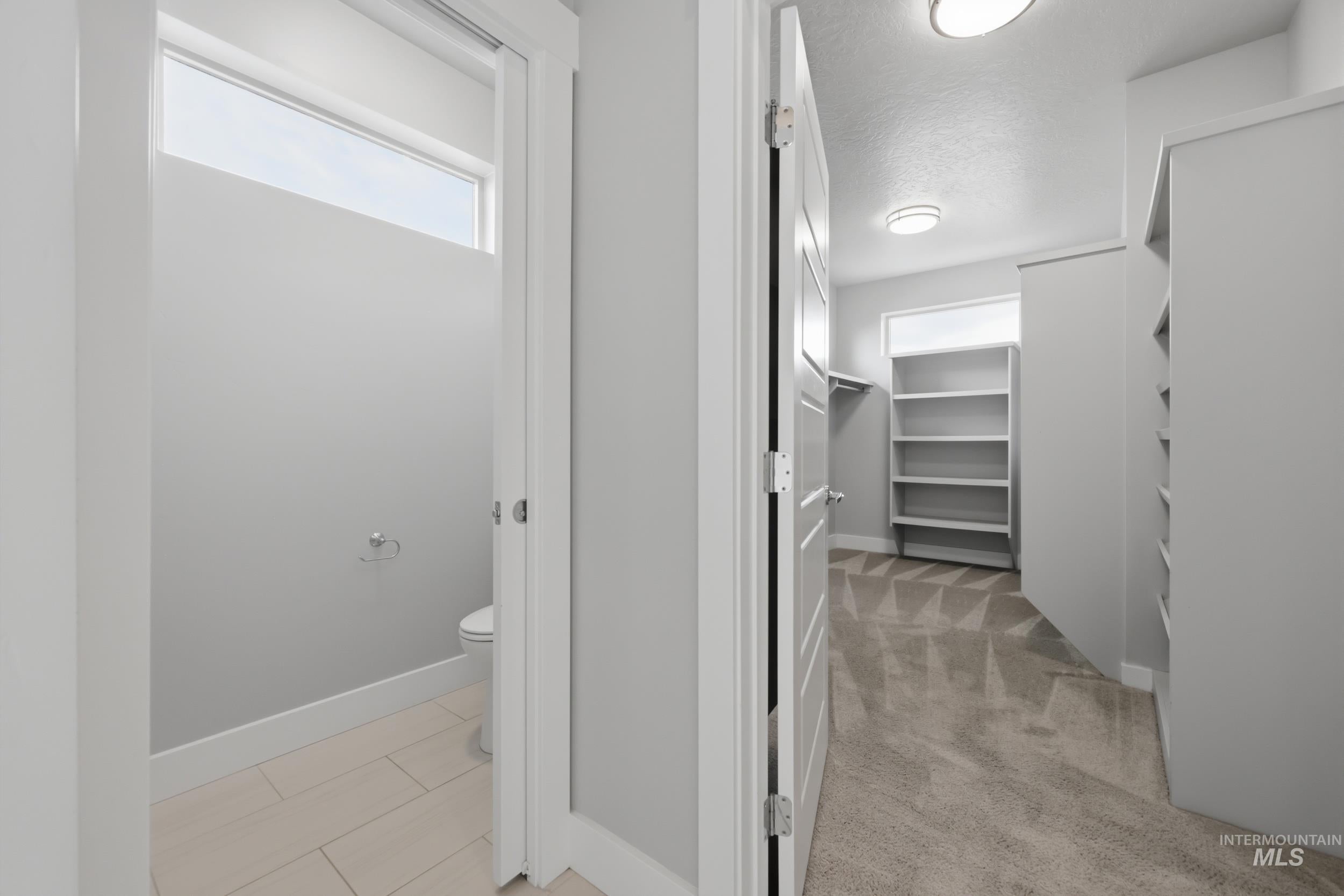 Walk-in closet featuring built-in shelving, carpet flooring, and flush-mount lighting