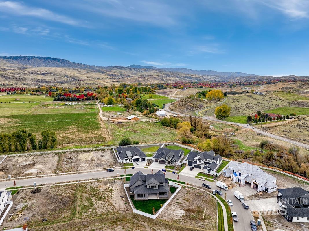 Aerial perspective of suburban area featuring a mountainous background
