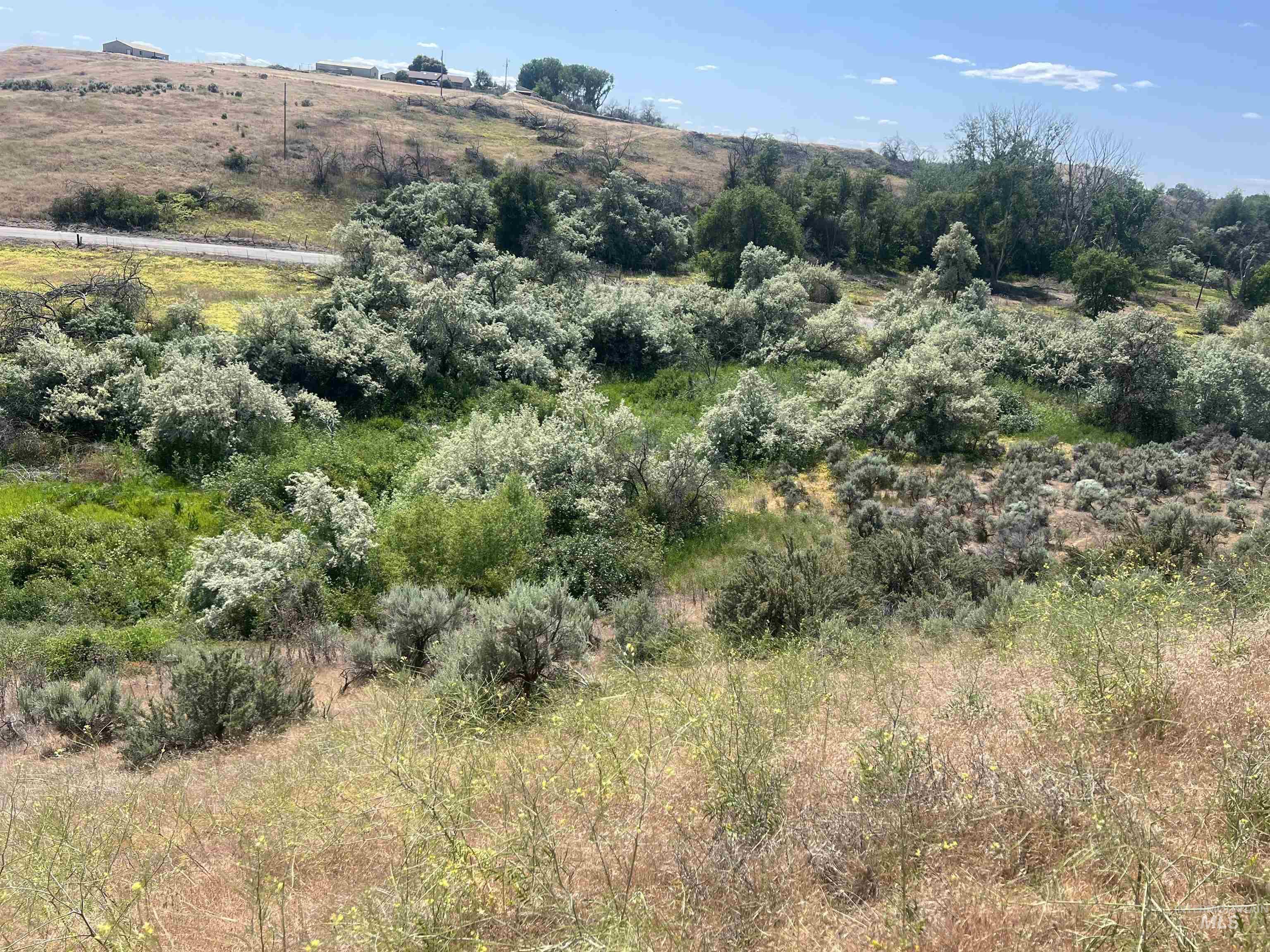 510 Ontario Heights B