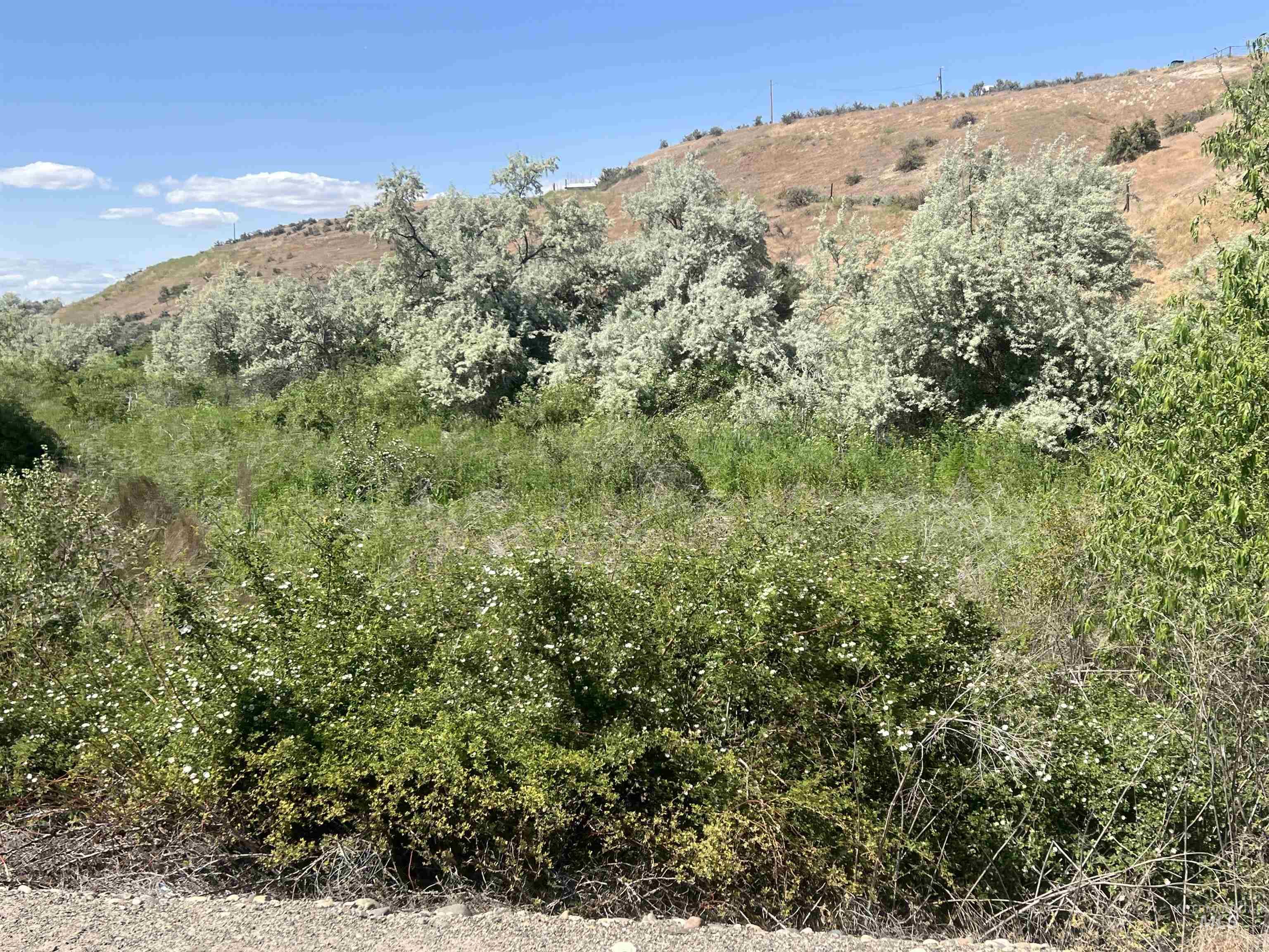 510 Ontario Heights B