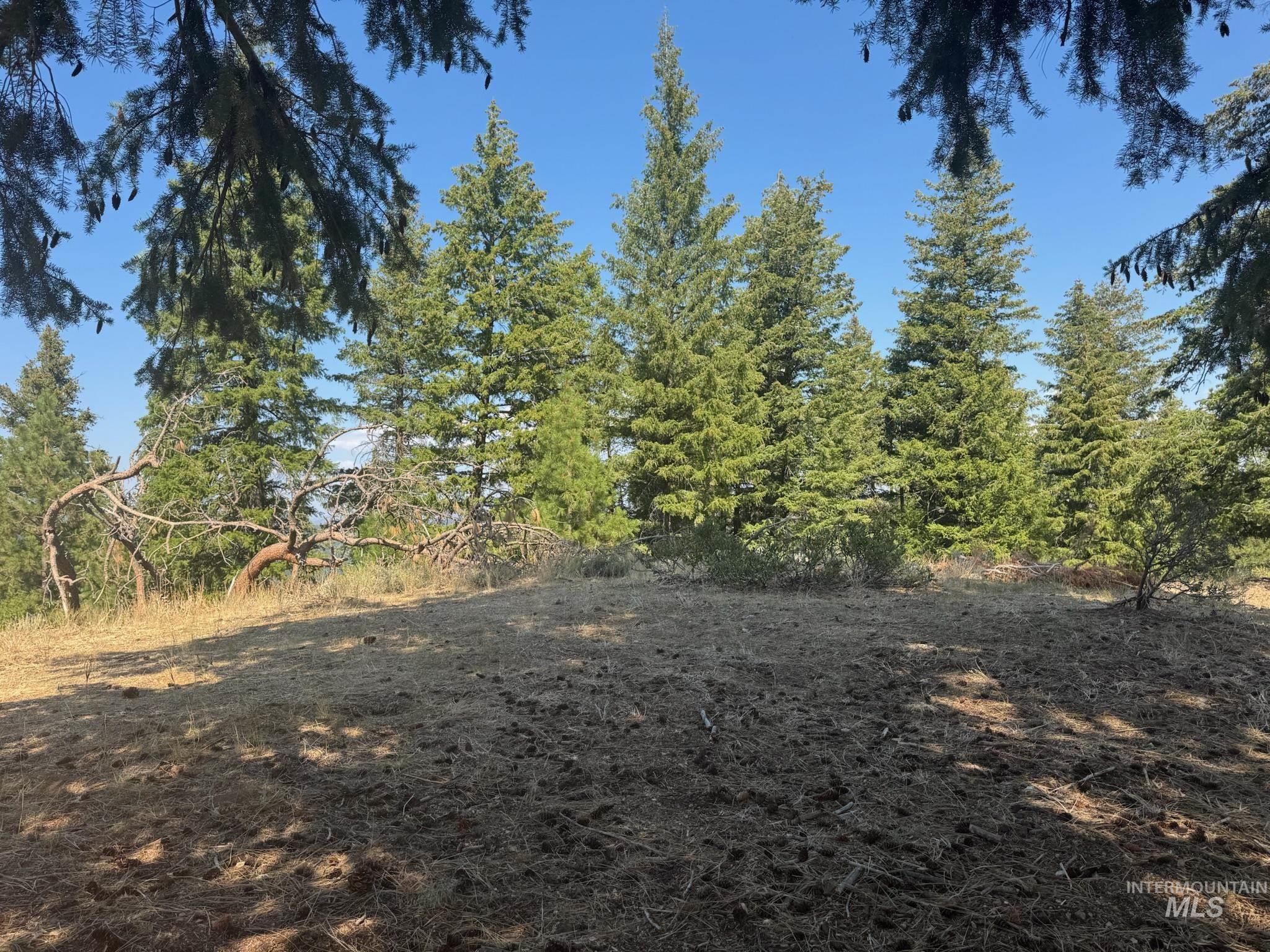 Build site with view of mountain background with a forest.