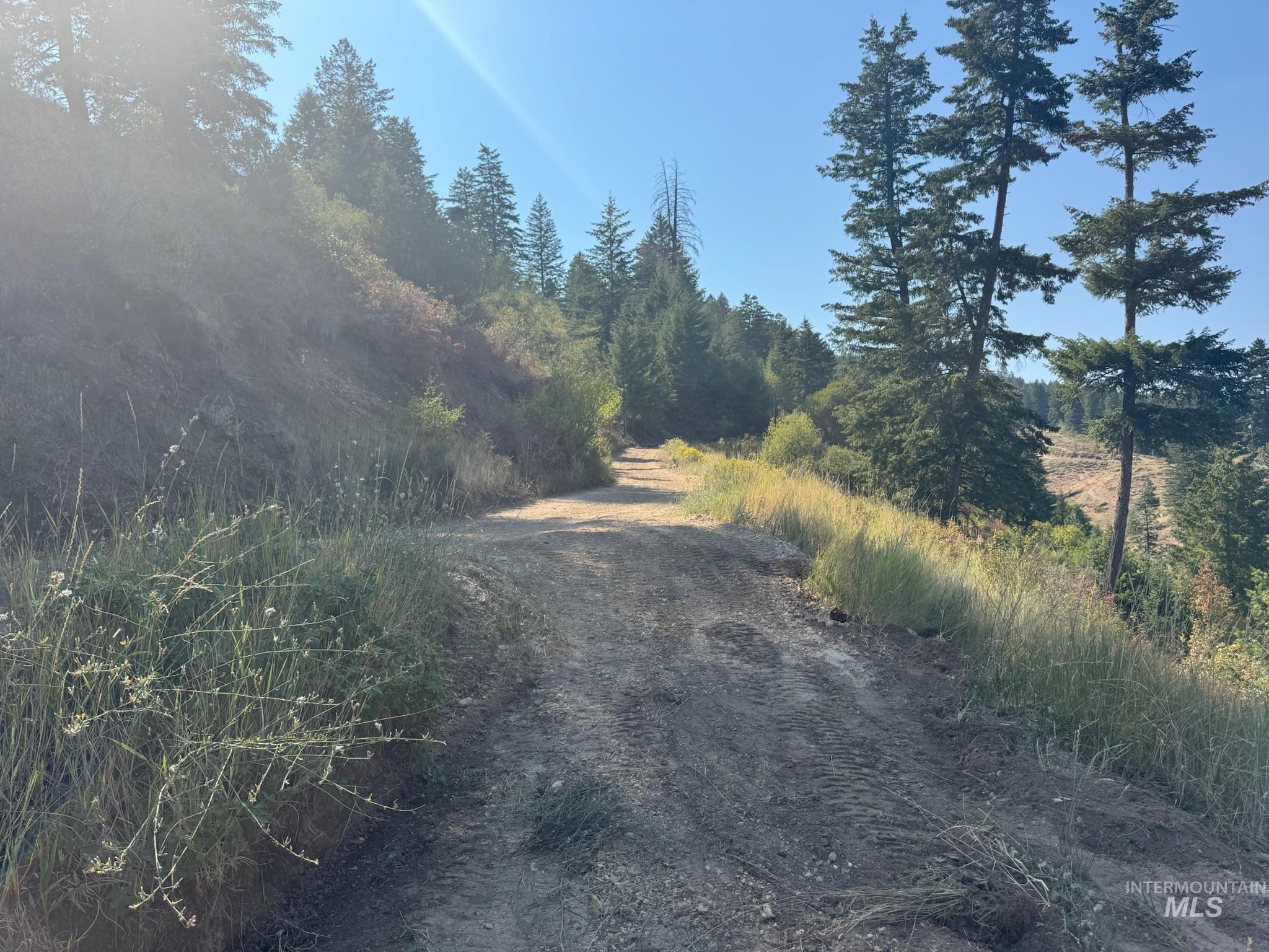 View of driveway looking towards entrance.