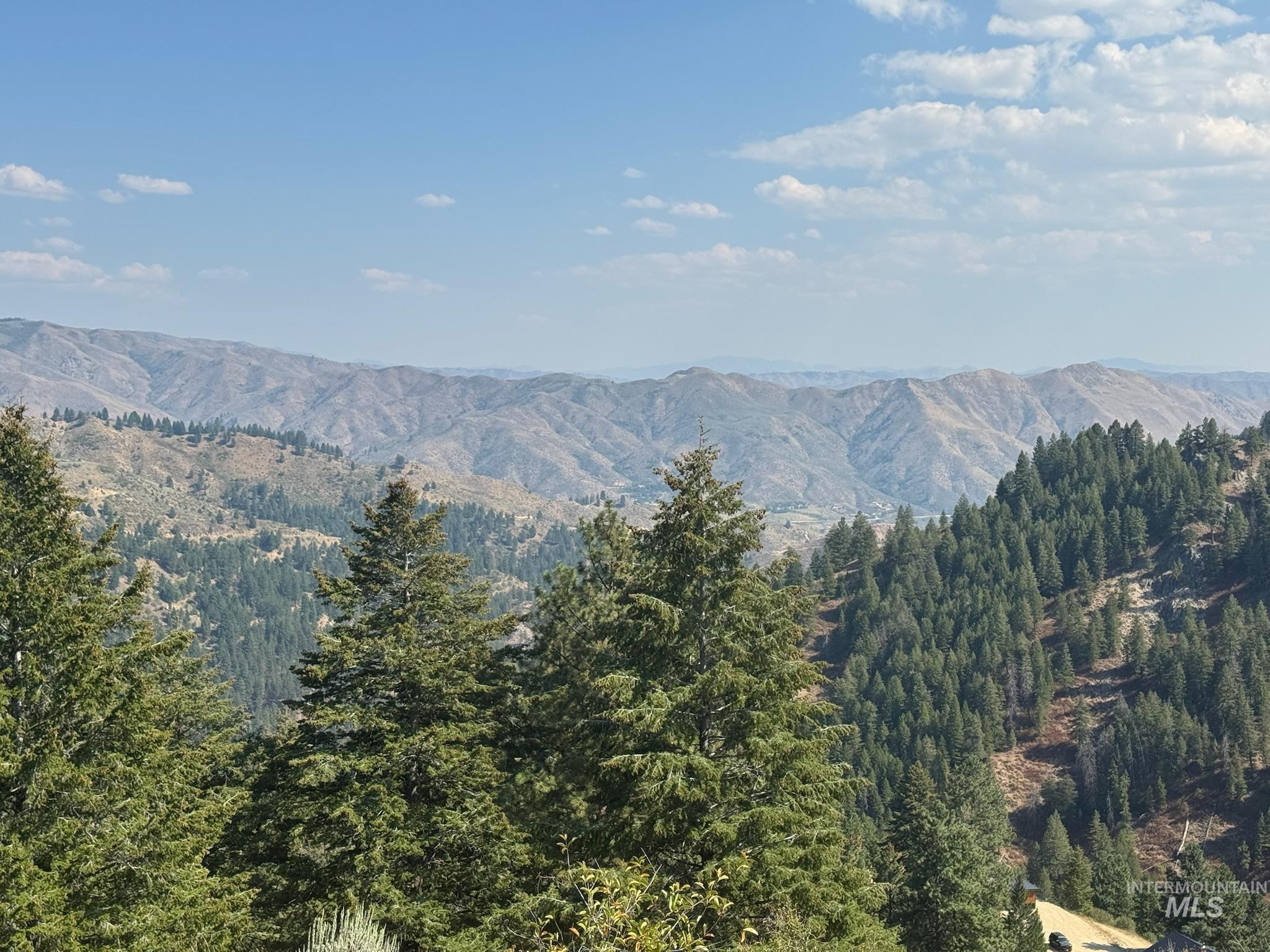 View of mountain background with a forest