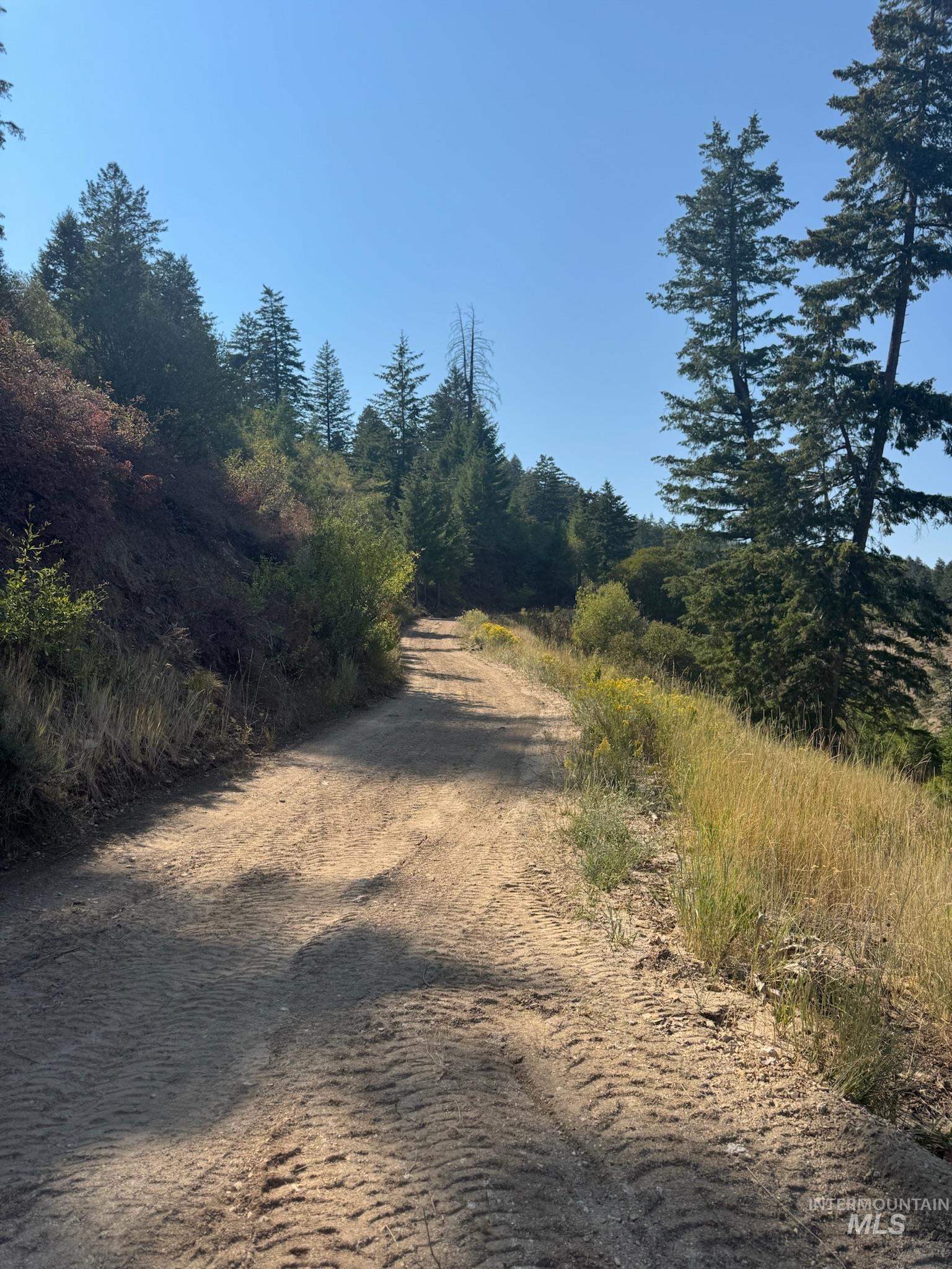 View of shared driveway easement looking towards gate.