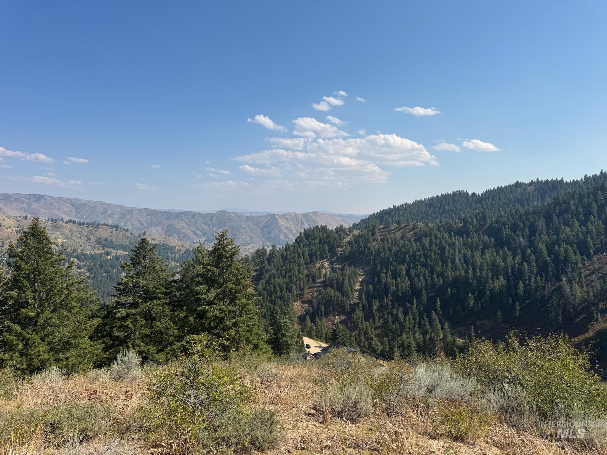 Mountain view featuring a forest