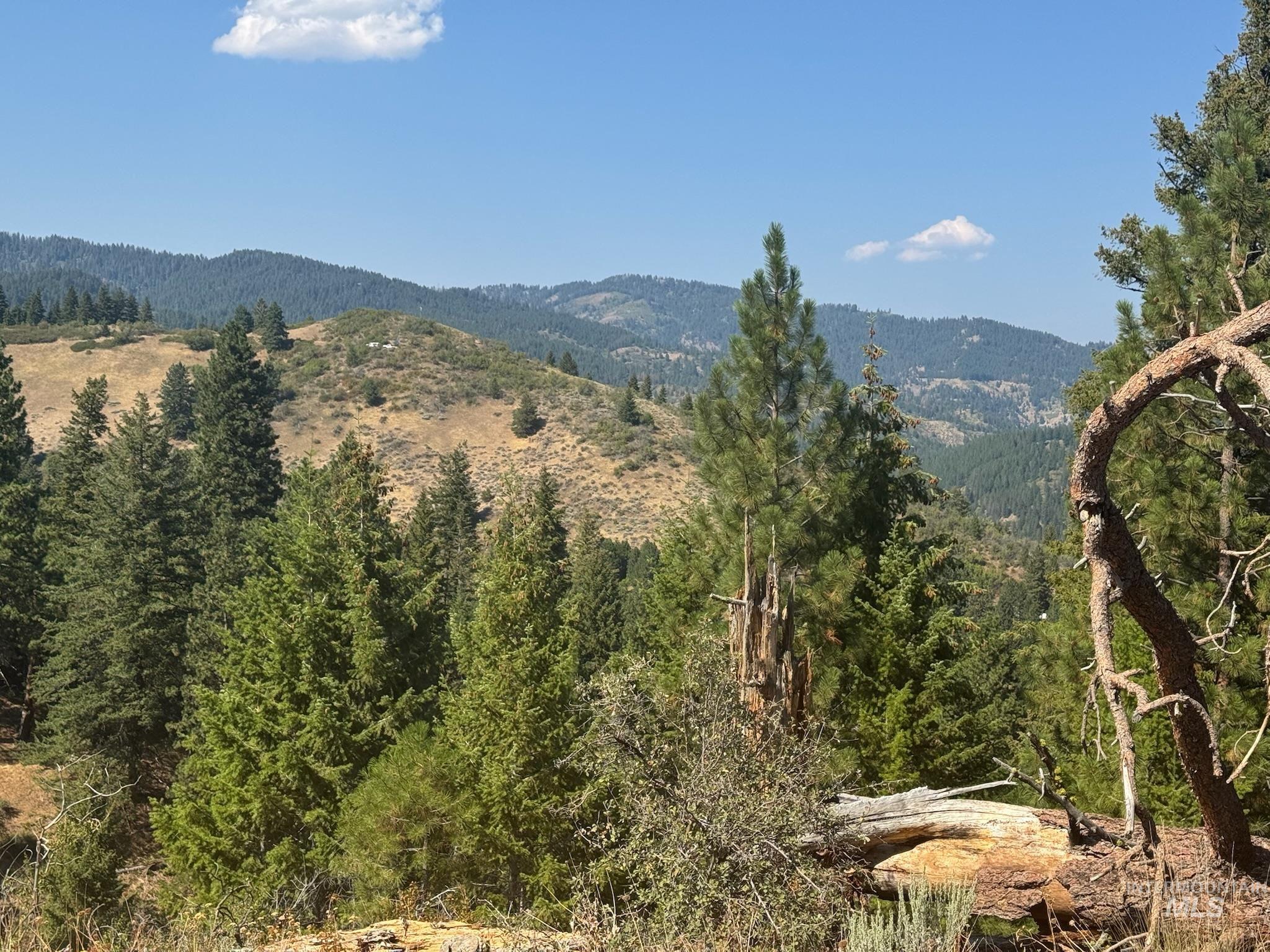 View of mountain backdrop with a heavily wooded area