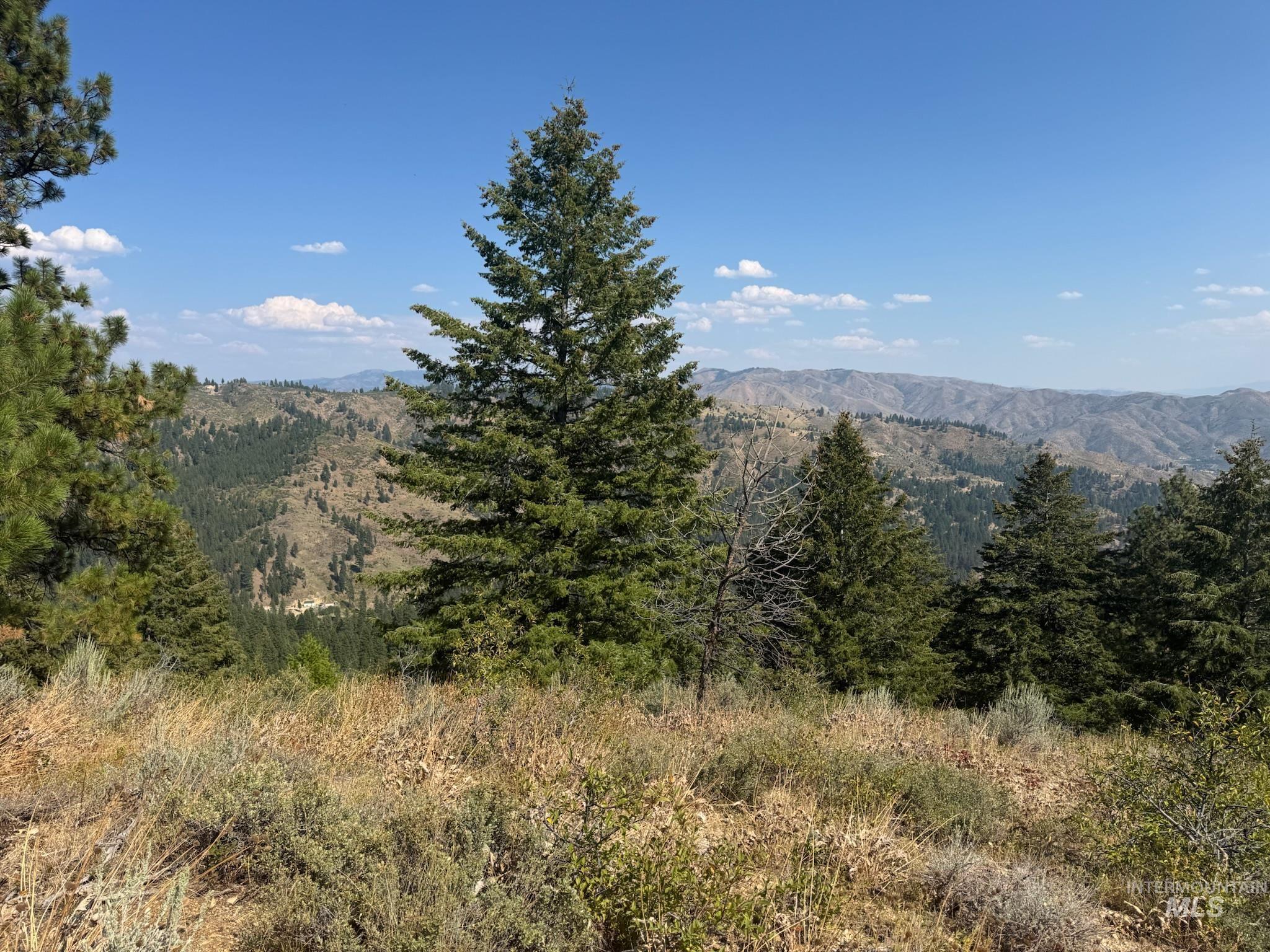 Mountain view featuring a forest