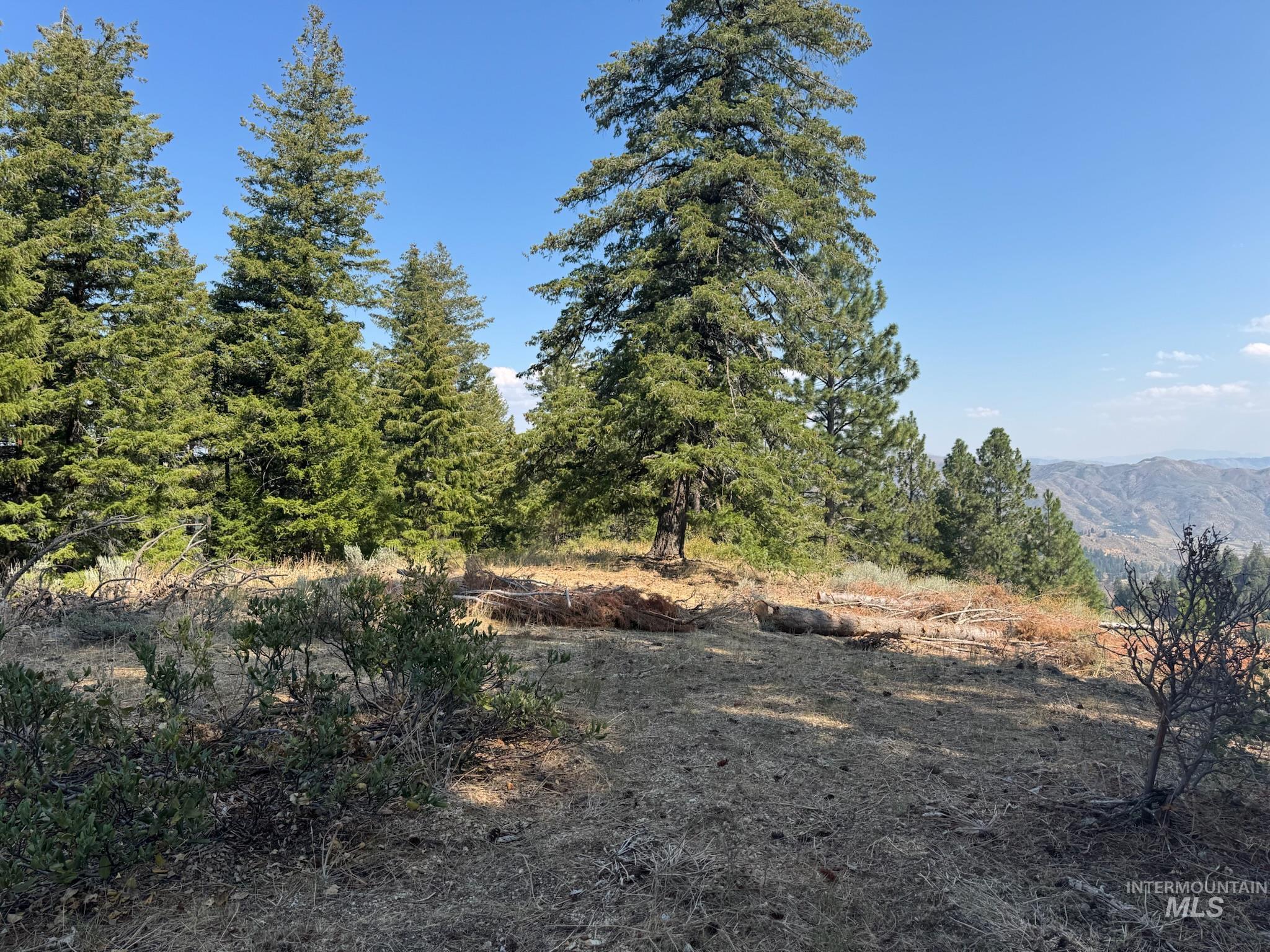 Build site with view of mountain background with a forest.