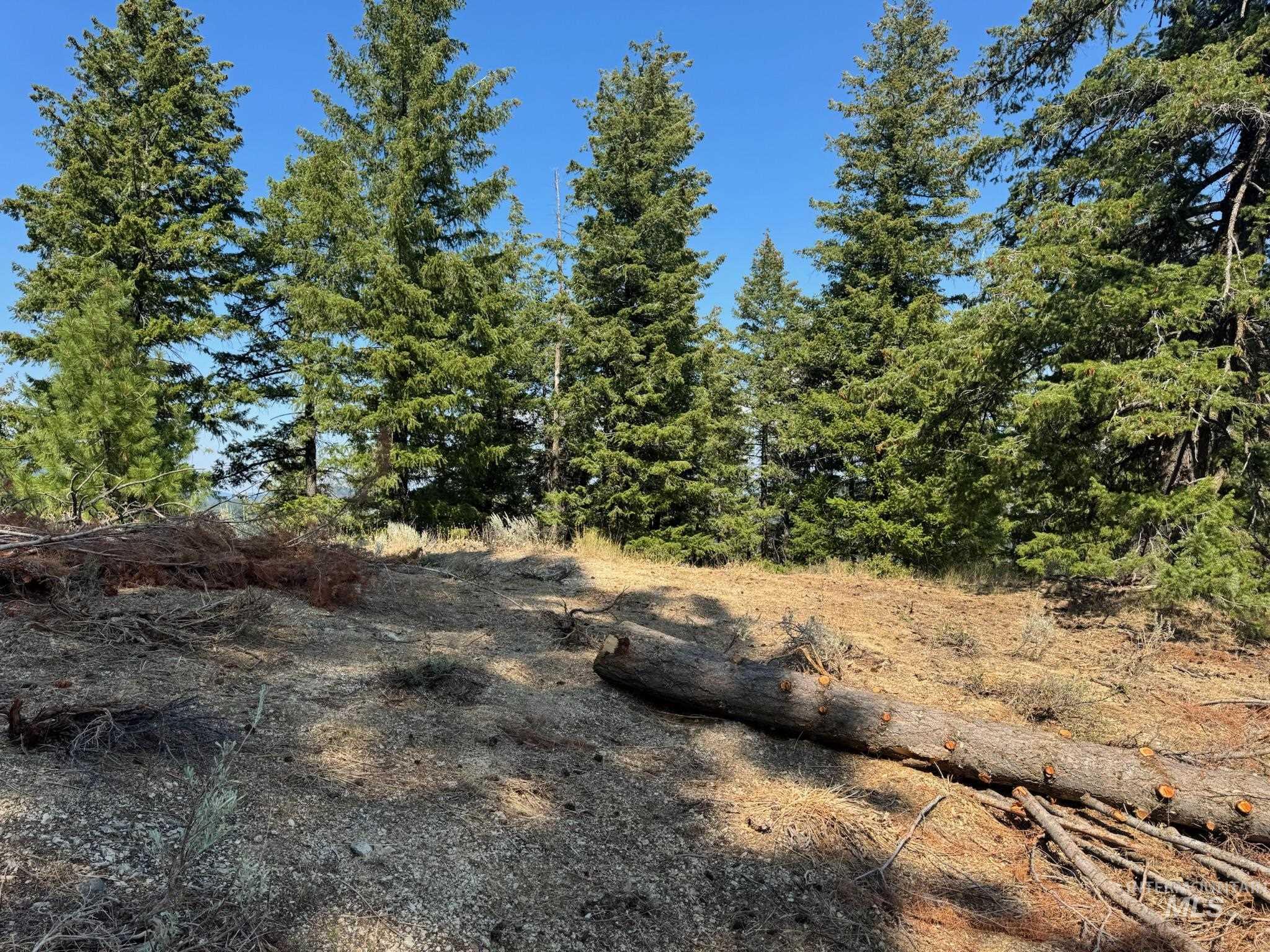 Build site with view of mountain background with a forest.