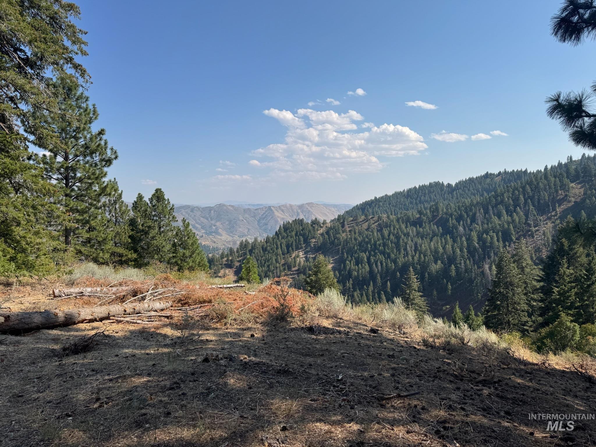View of mountain background featuring a forest