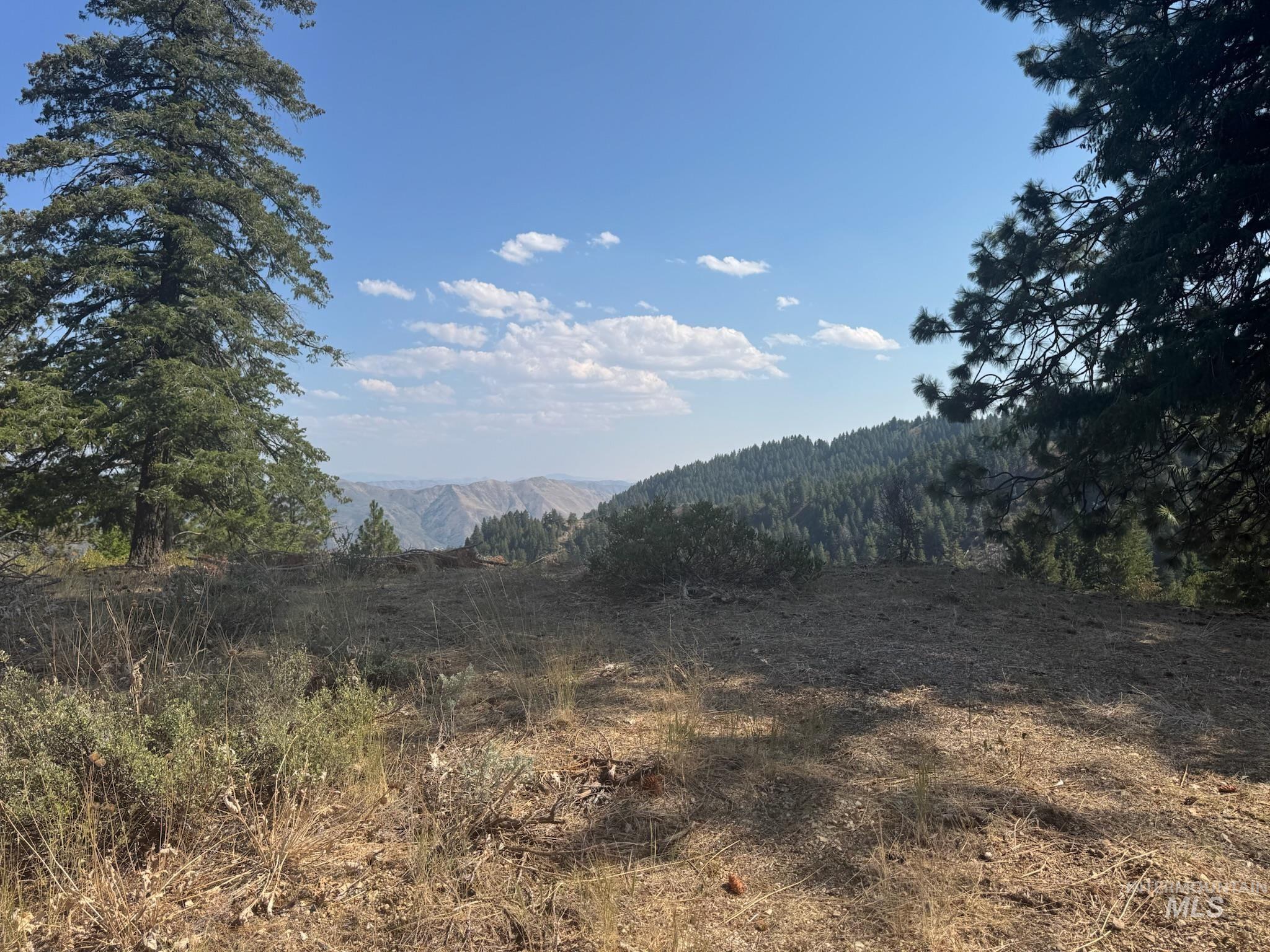 Build site with view of mountain background with a forest.