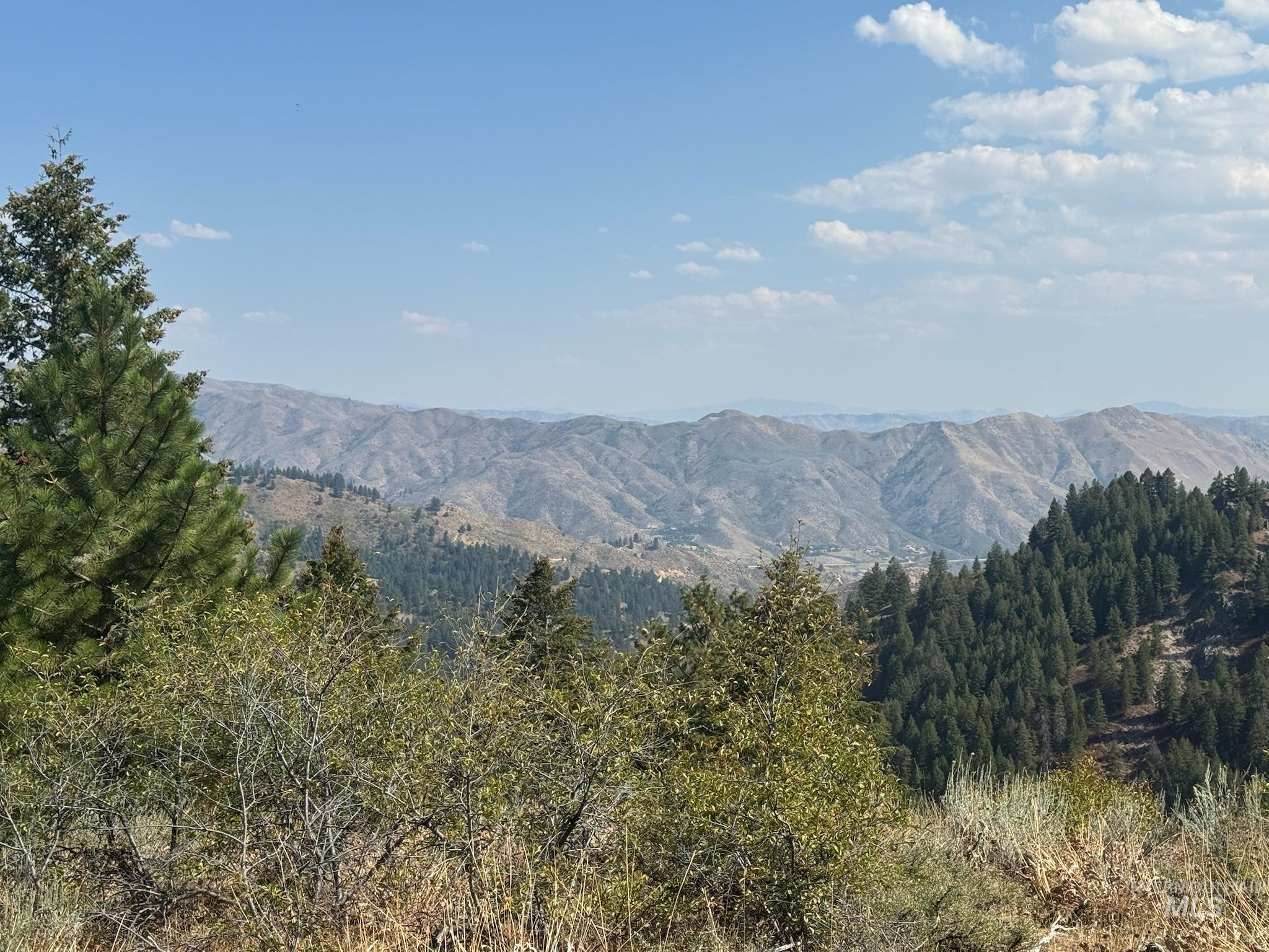 View of mountain background featuring a forest