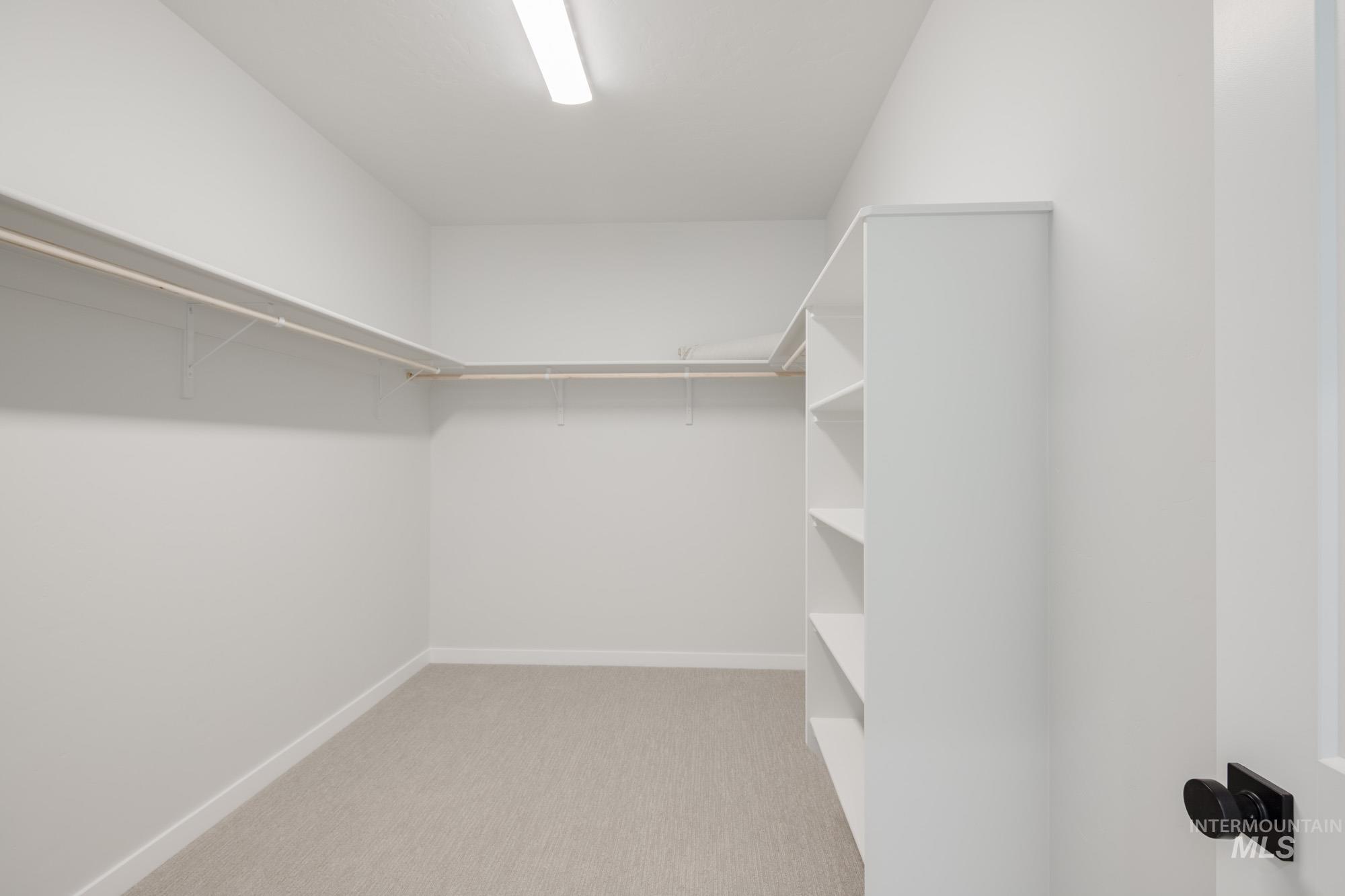 Walk in closet with light colored carpet
